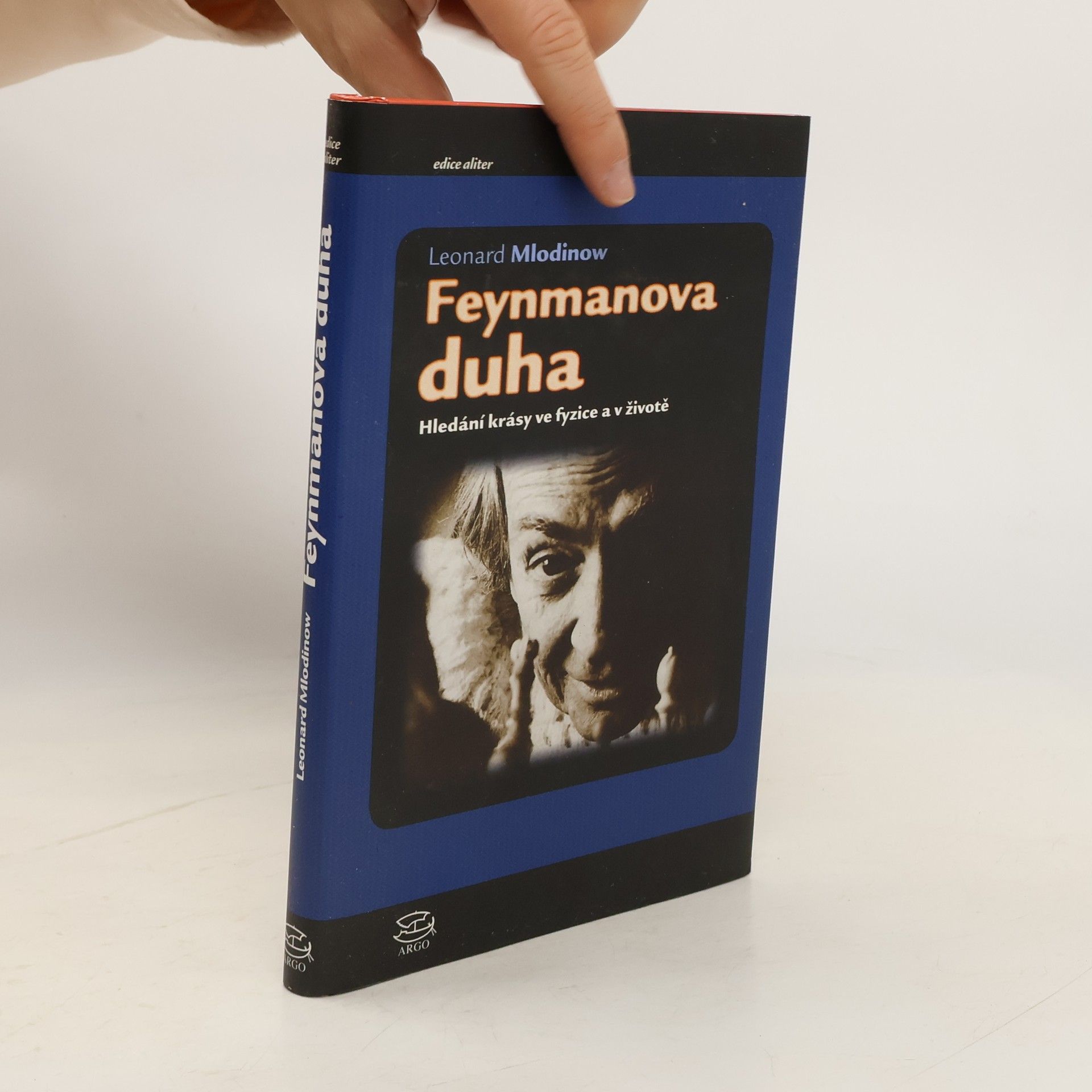 Leonard Mlodinow Feynmanova duha: Hledání krásy ve fyzice a v životě