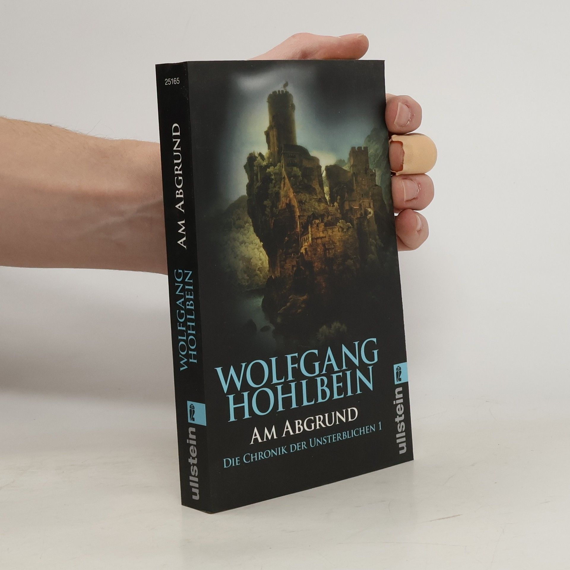 Wolfgang Hohlbein Die Chronik der Unsterblichen. Am Abgrund