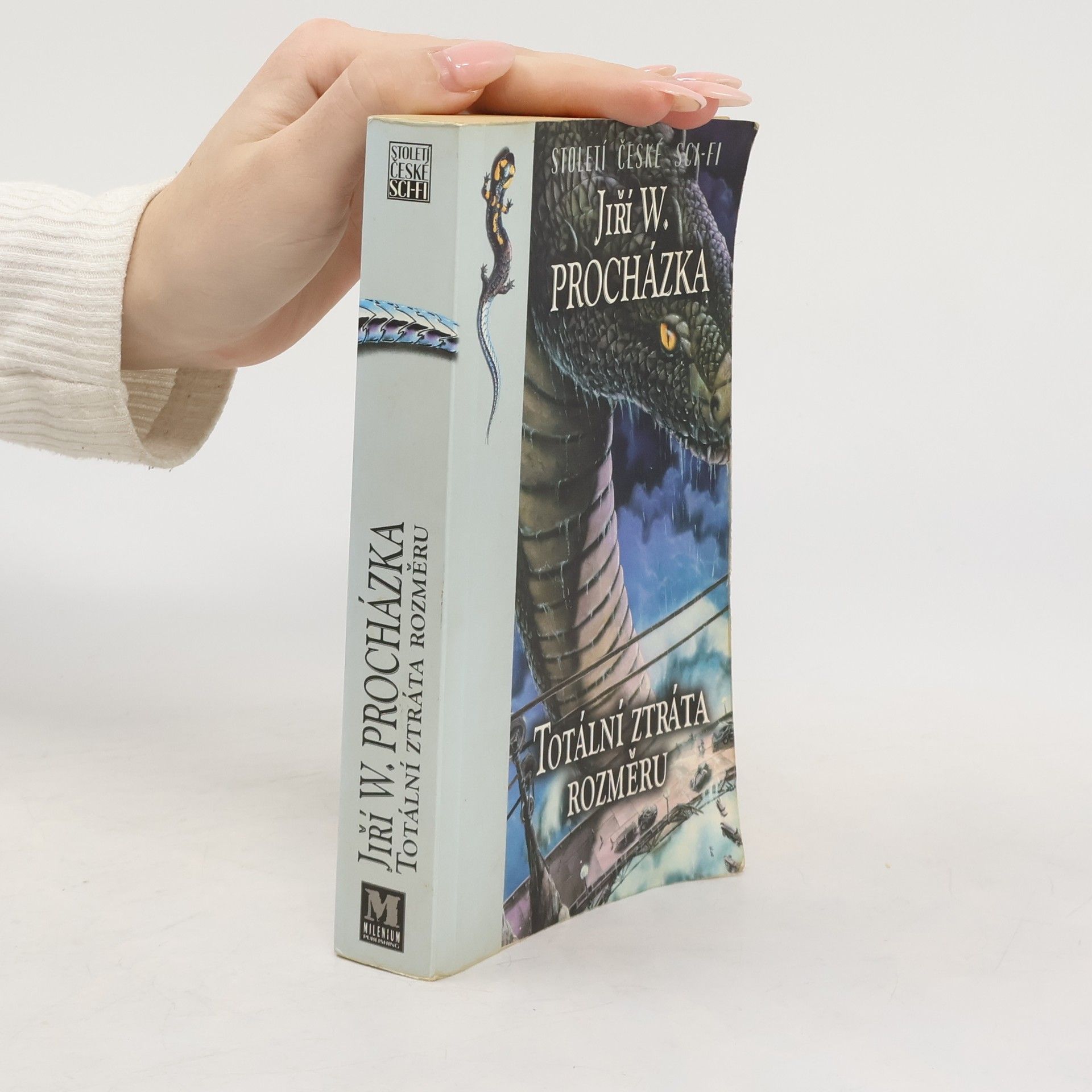 Totální ztráta rozměru