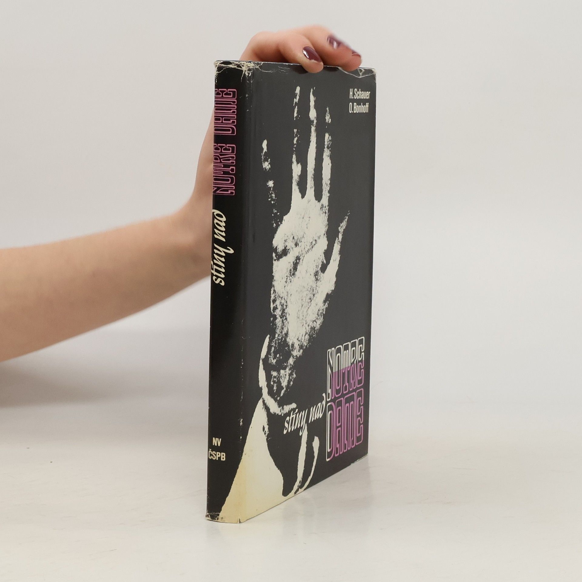 Stíny nad Notre Dame