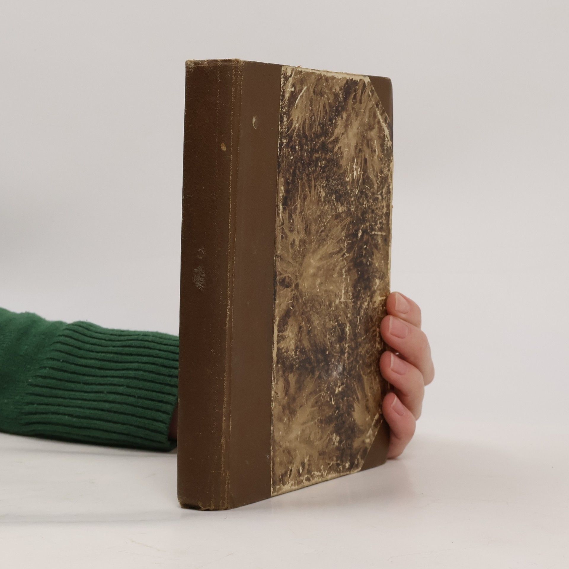 Věnceslava Lužická Květiny a ženy 2