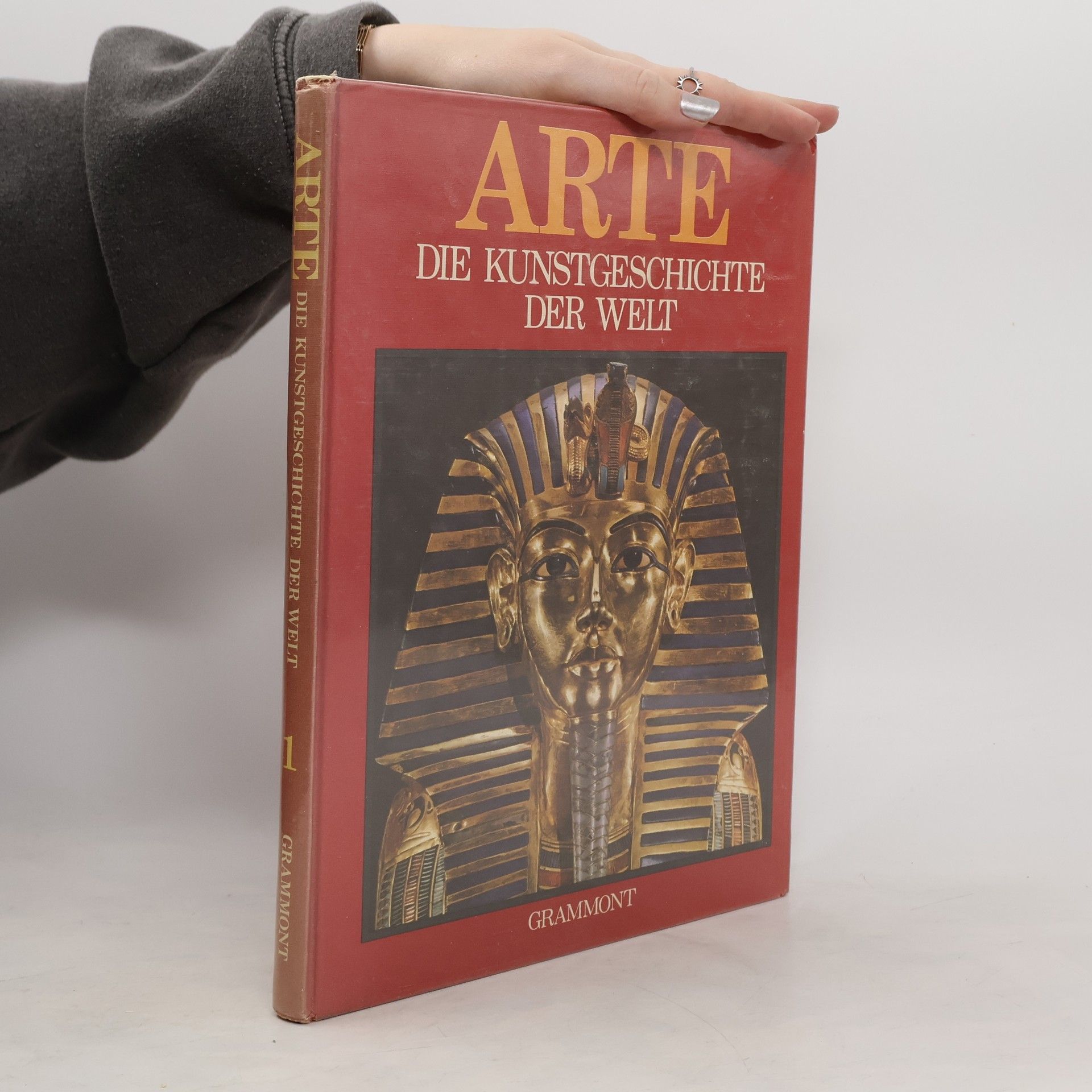 Autorenkollektiv Arte: Die Kunstgeschichte der Welt