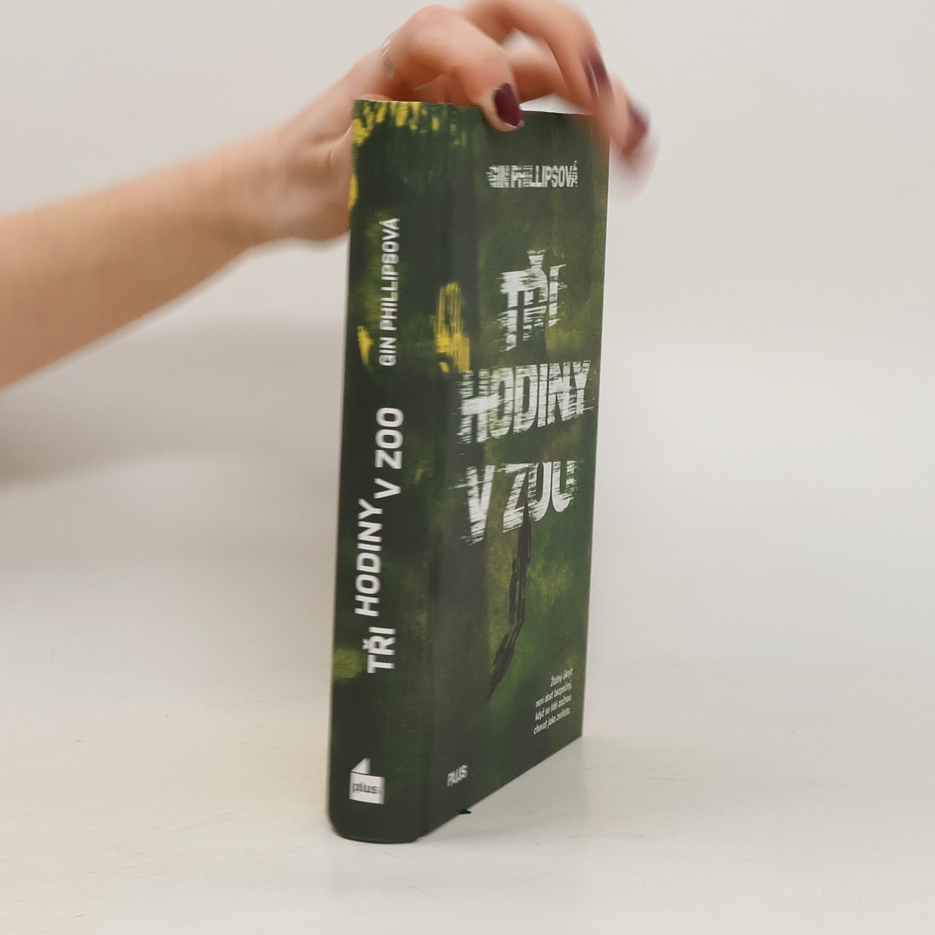 Gin Phillips Tři hodiny v ZOO