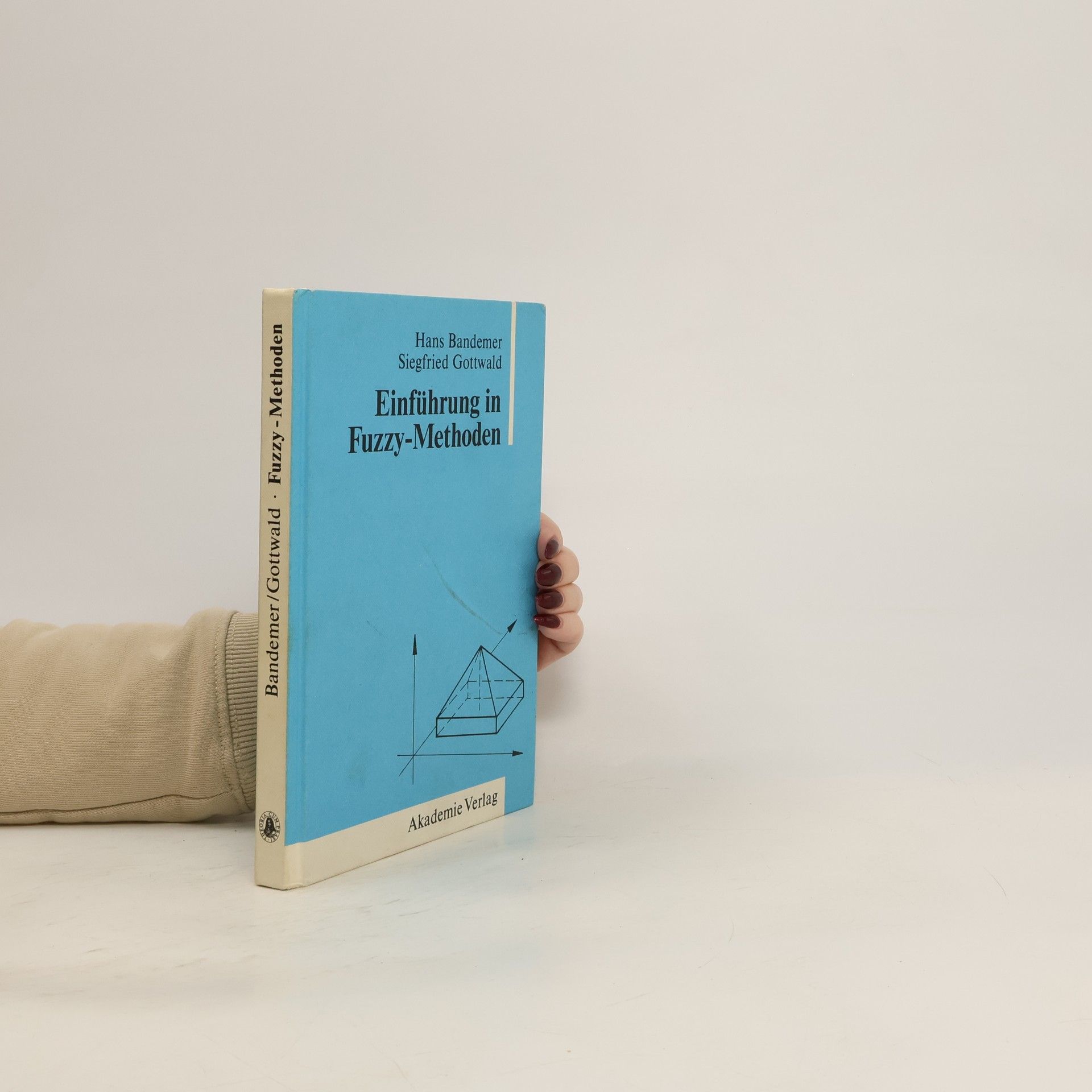 Hans Bandemer Einführung in Fuzzy-Methoden