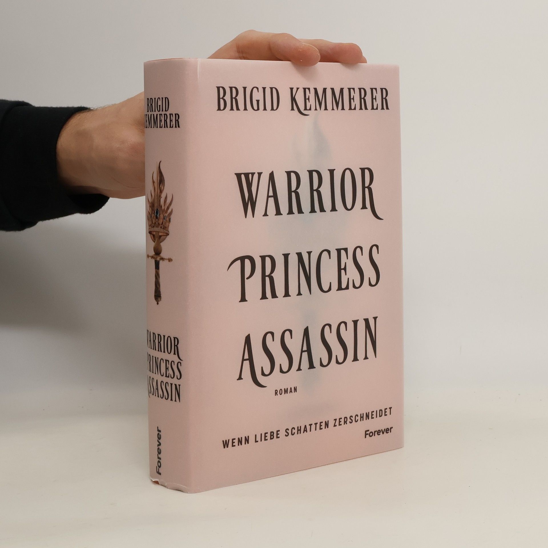 The Assassin and the Princess - 1: Warrior Princess Assassin