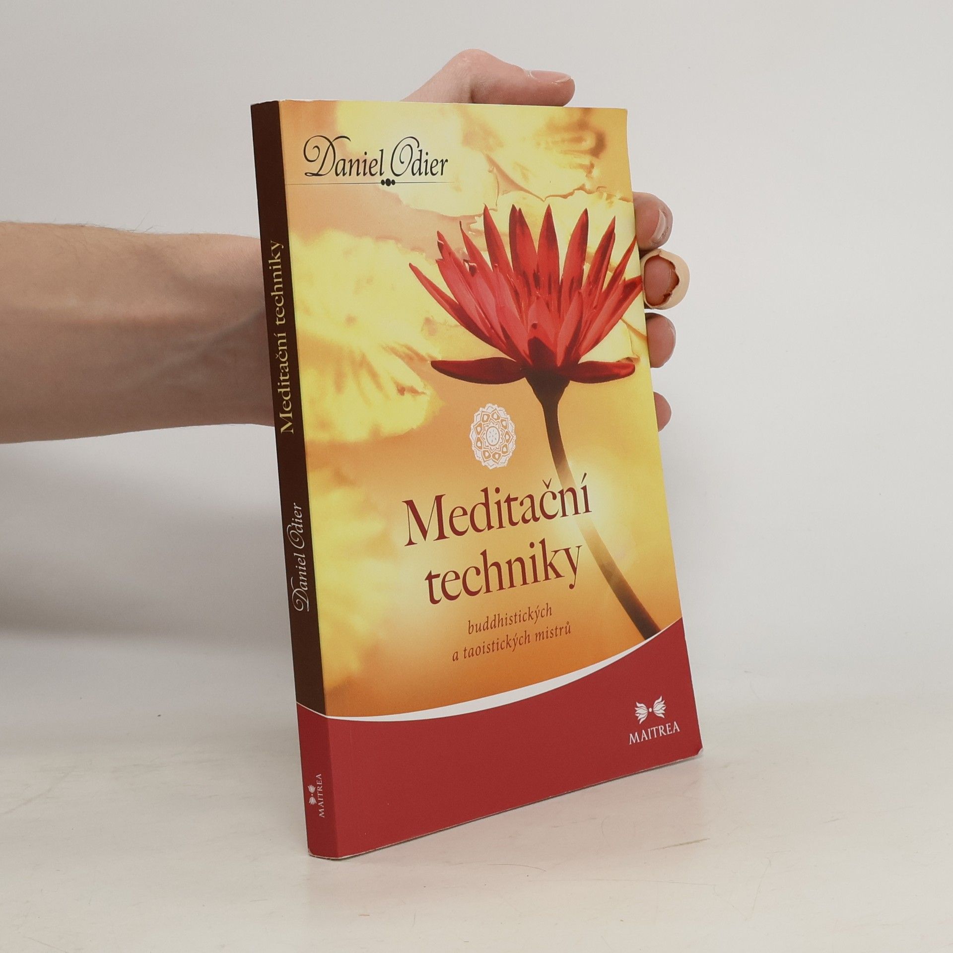 Meditační techniky buddhistických a taoistických mistrů