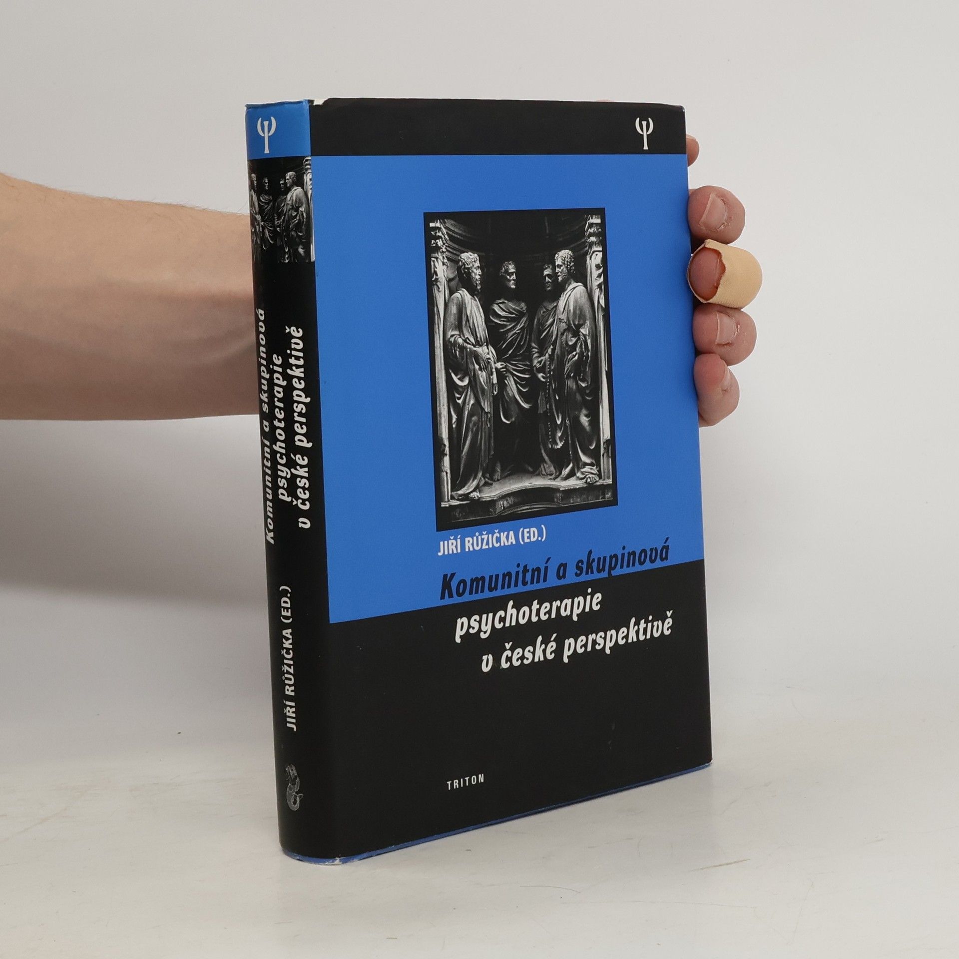 Jiří Růžička Komunitní a skupinová psychoterapie v české perspektivě