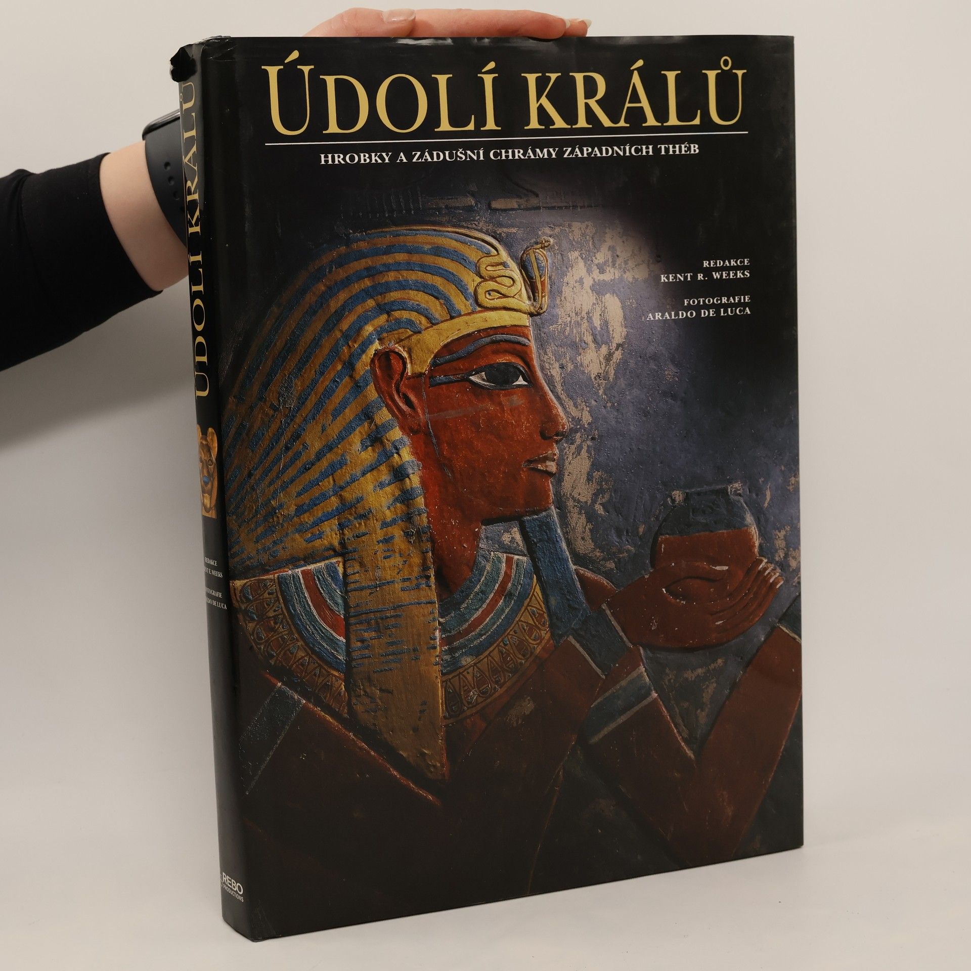 Kent Weeks Údolí králů : hrobky a zádušní chrámy západních Théb