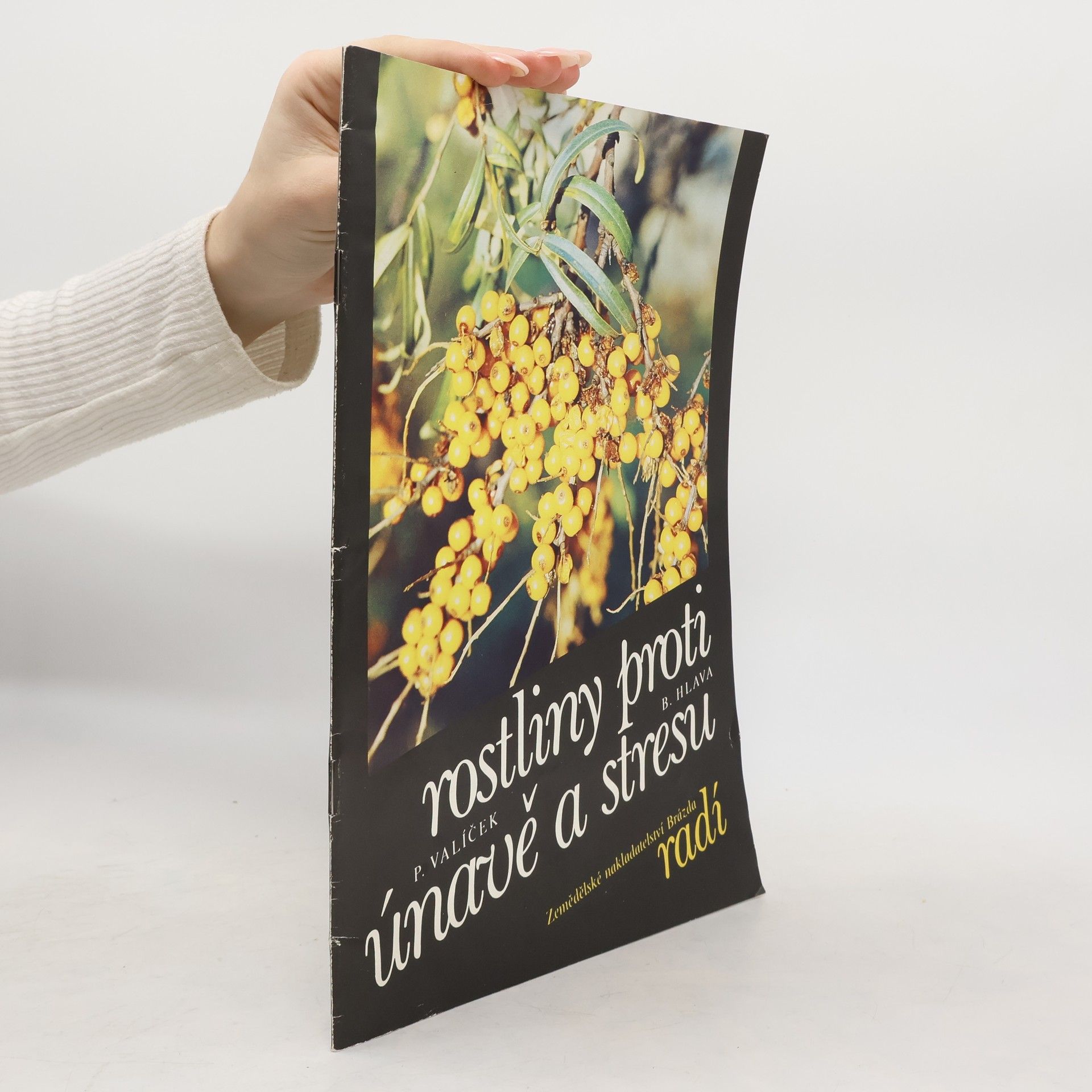 Pavel Valíček Rostliny proti únavě a stresu