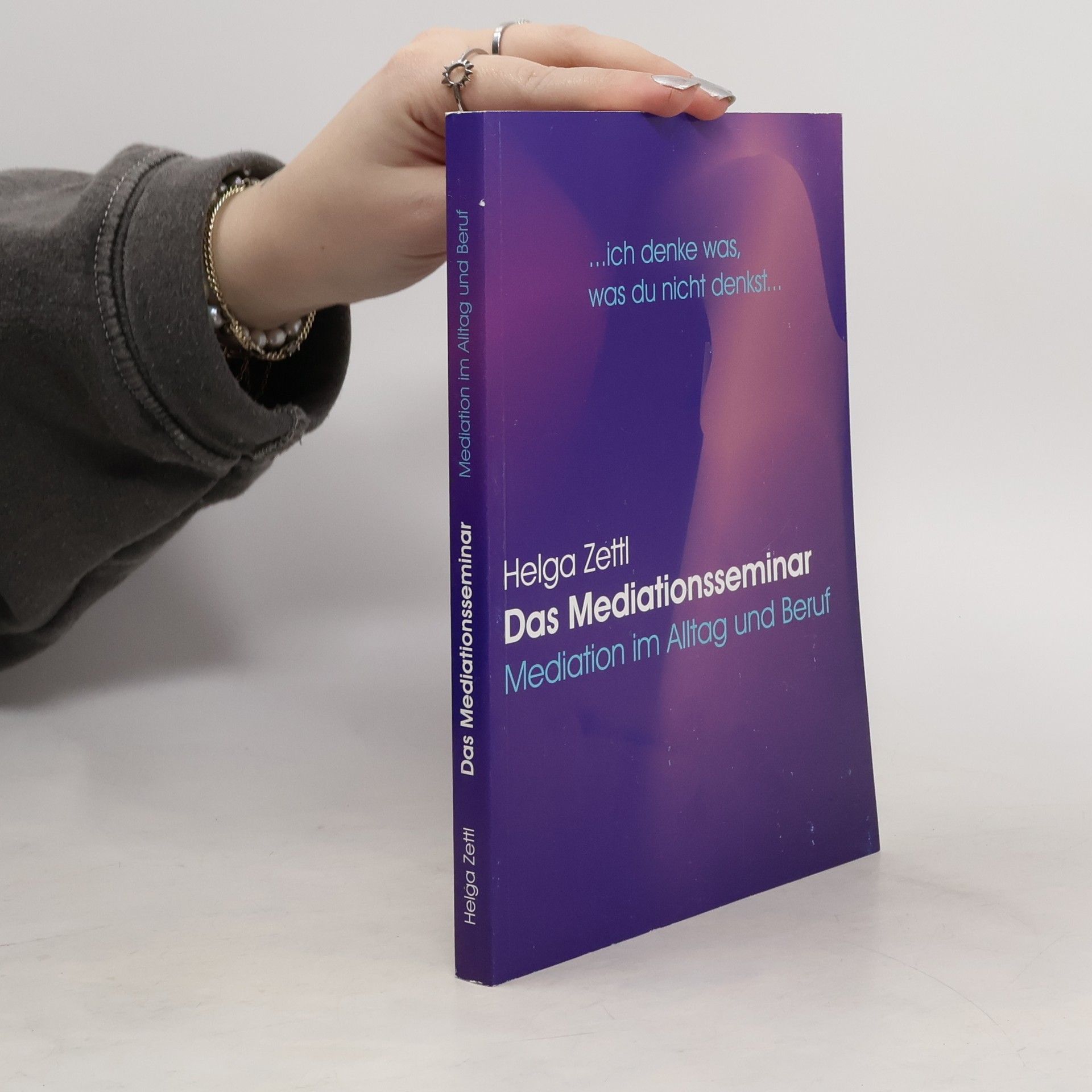 Helga Zettl Das Mediationsseminar: Mediation im Alltag und Beruf