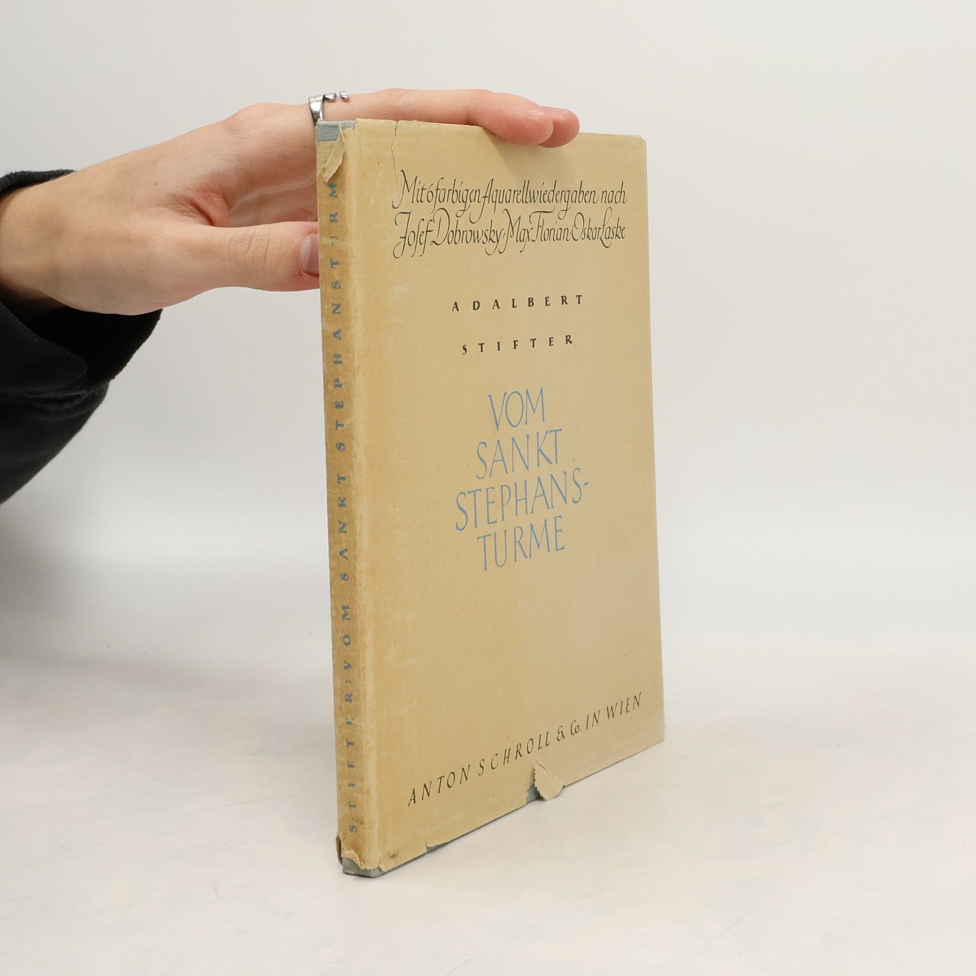 Adalbert Stifter Vom Sankt Stephansturme