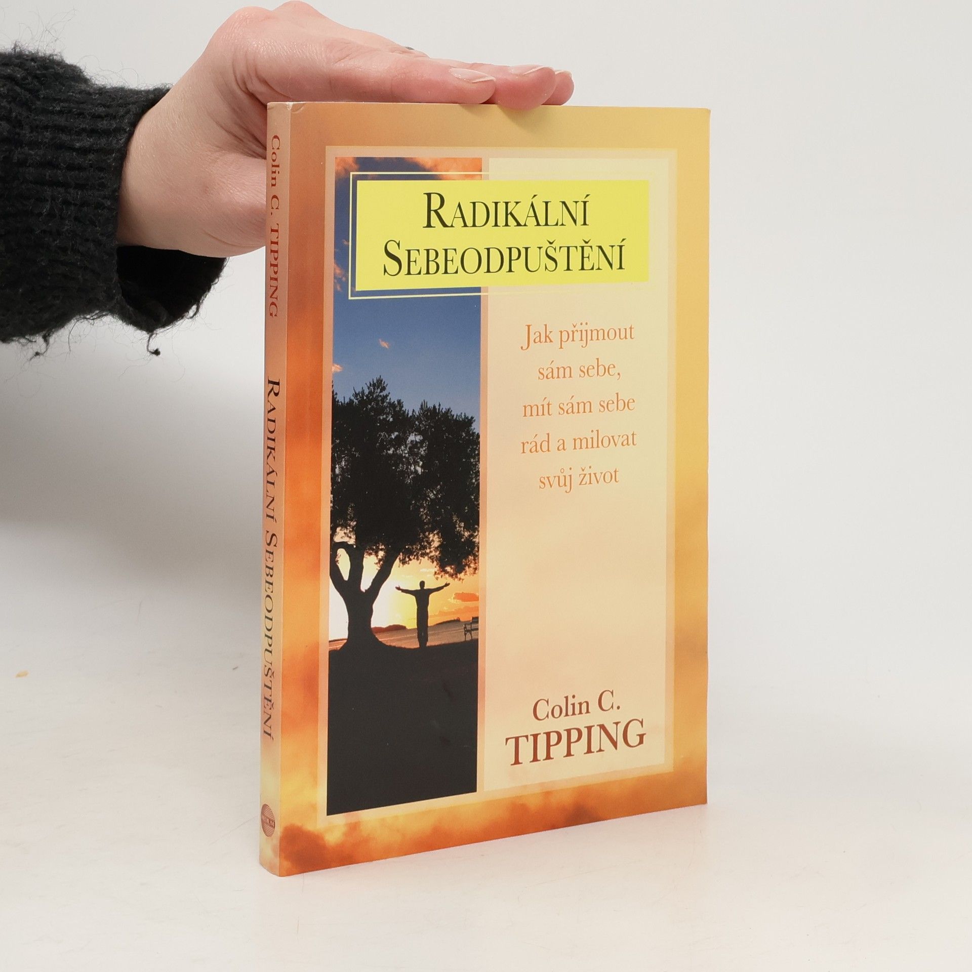 Colin C. Tipping Radikální sebeodpuštění