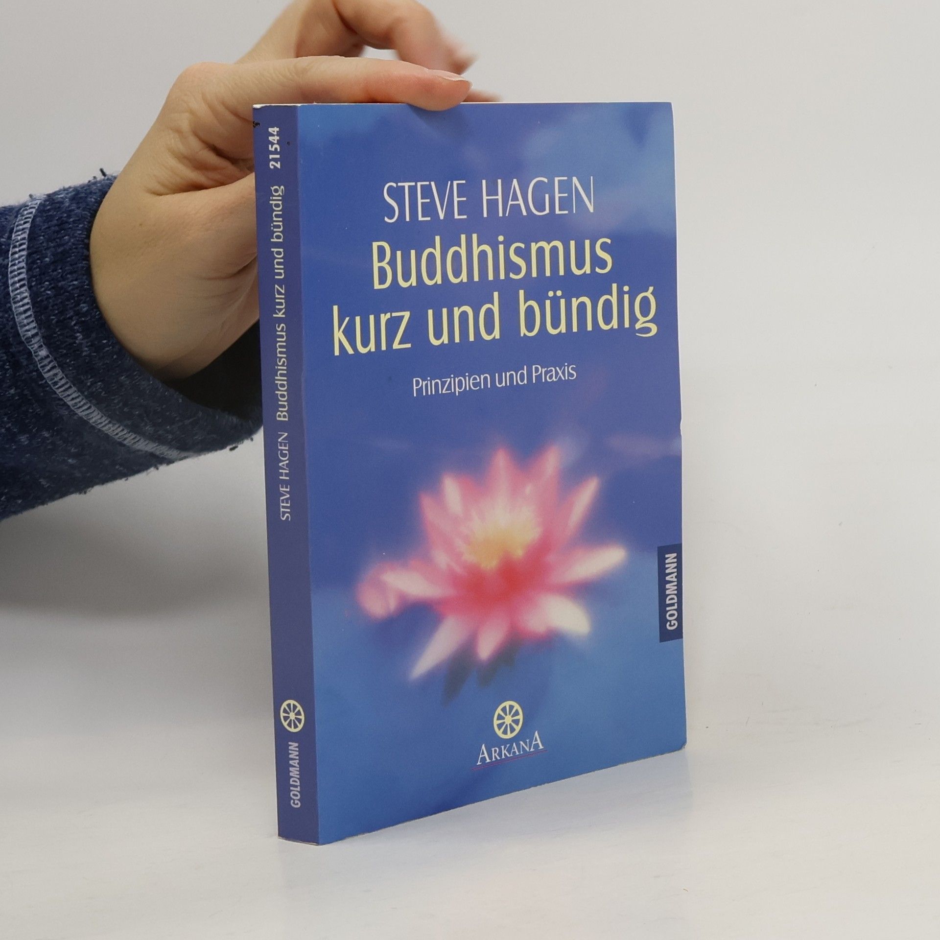 Steve Hagen Buddhismus kurz und bündig