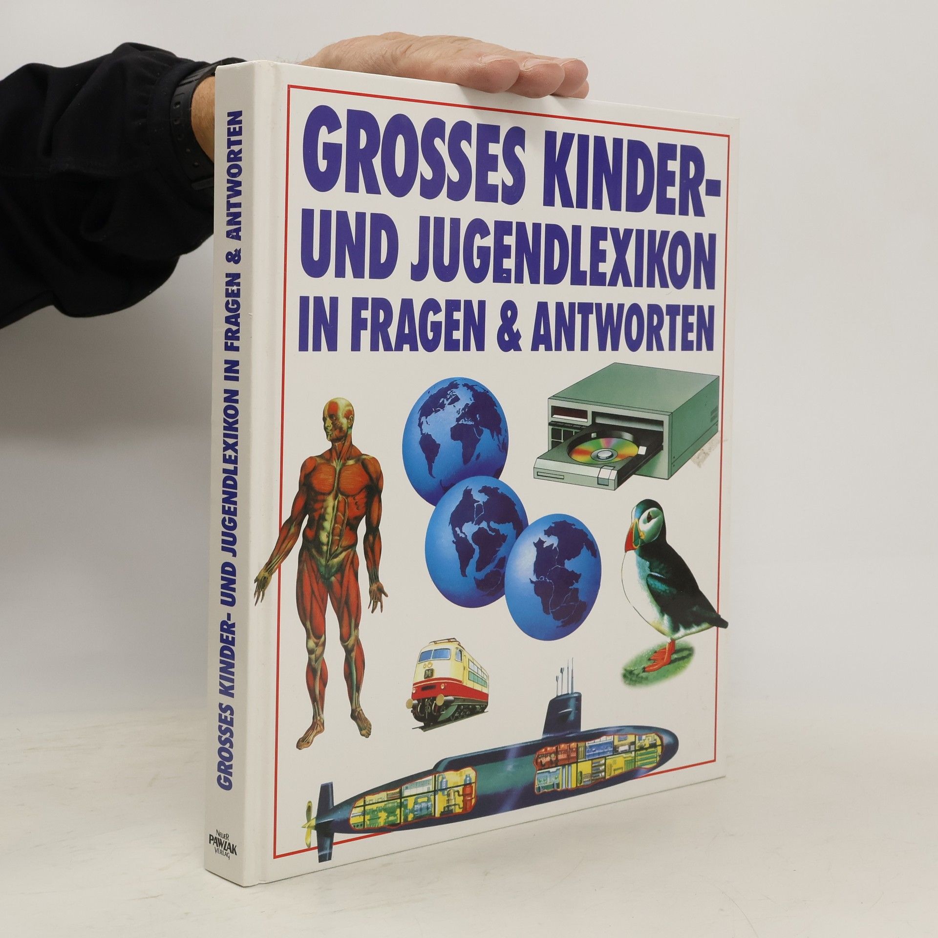 Collectif d'auteurs Grosses Kinder- und Jugendlexikon in Fragen & Antworten