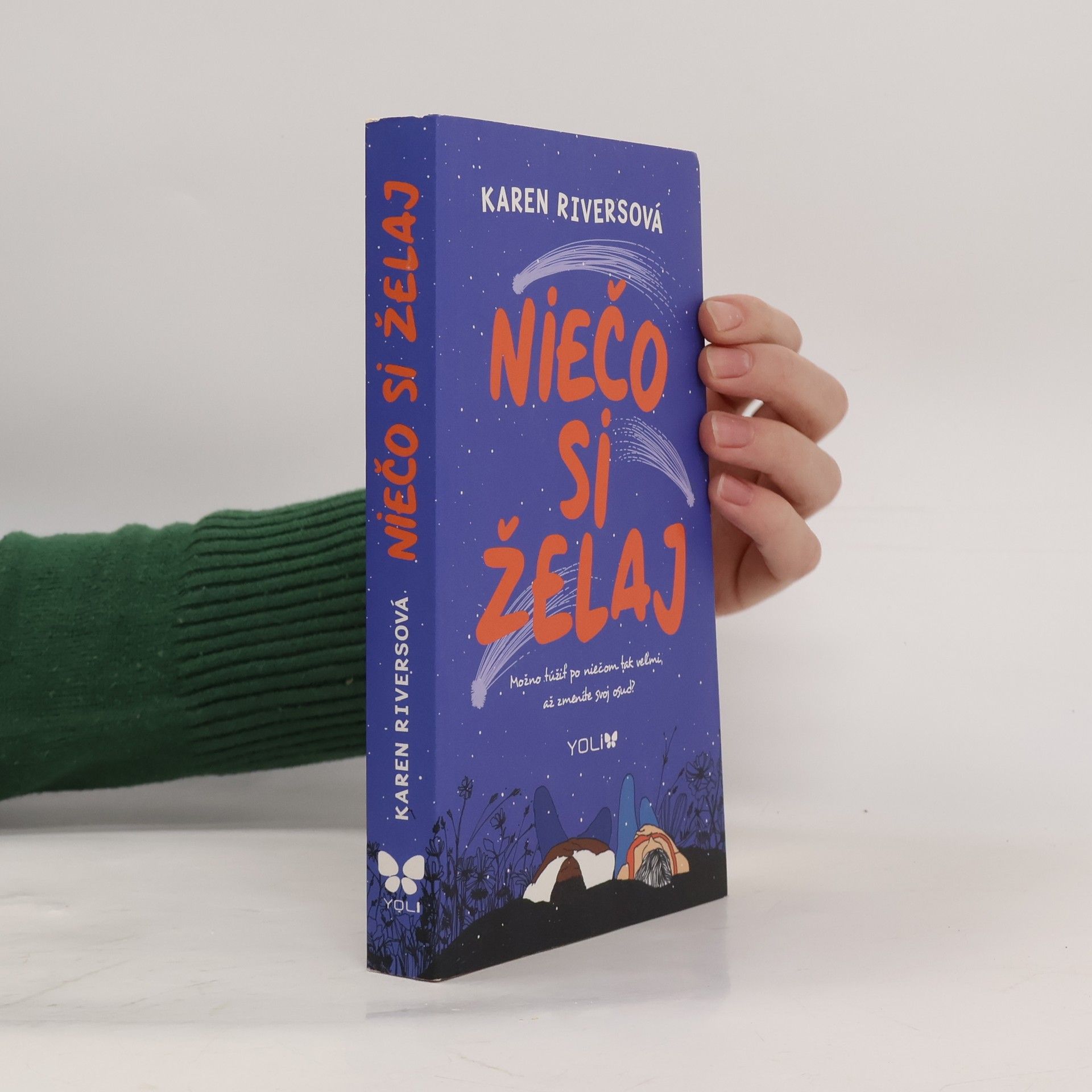 Karen Rivers Niečo si želaj