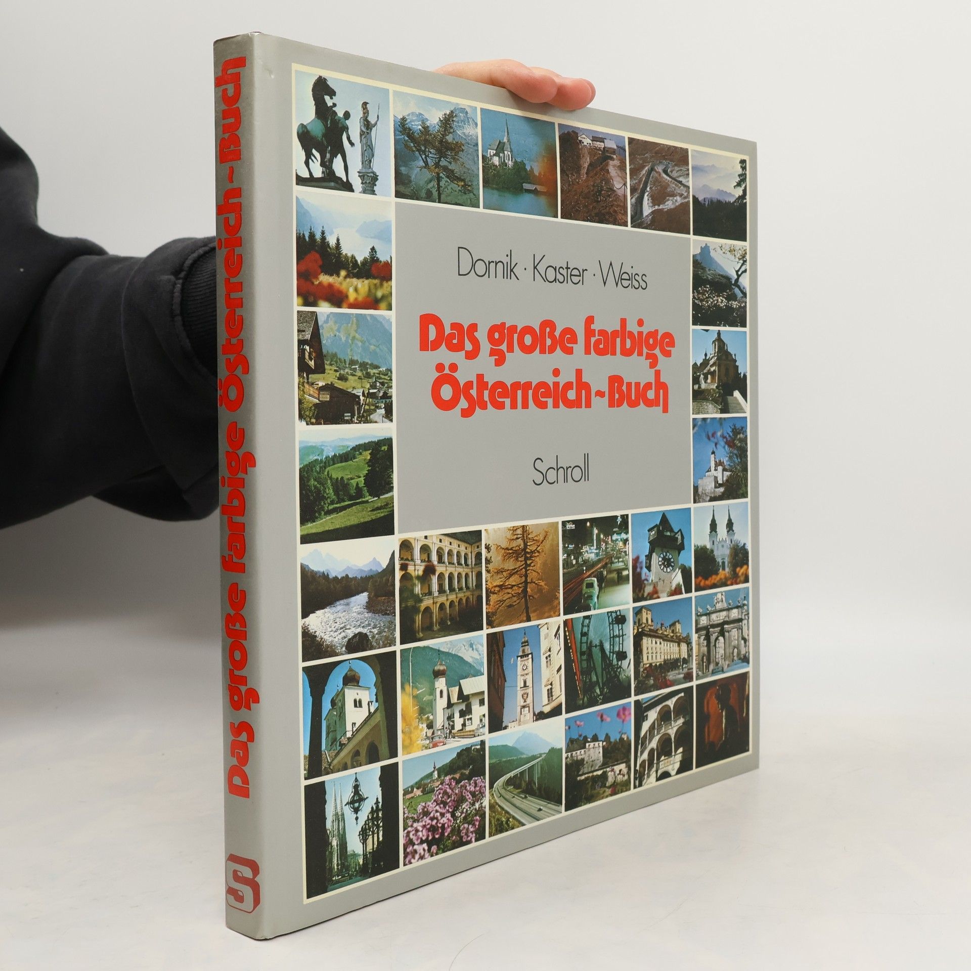 Hanna Dornik Das große farbige Österreich-Buch