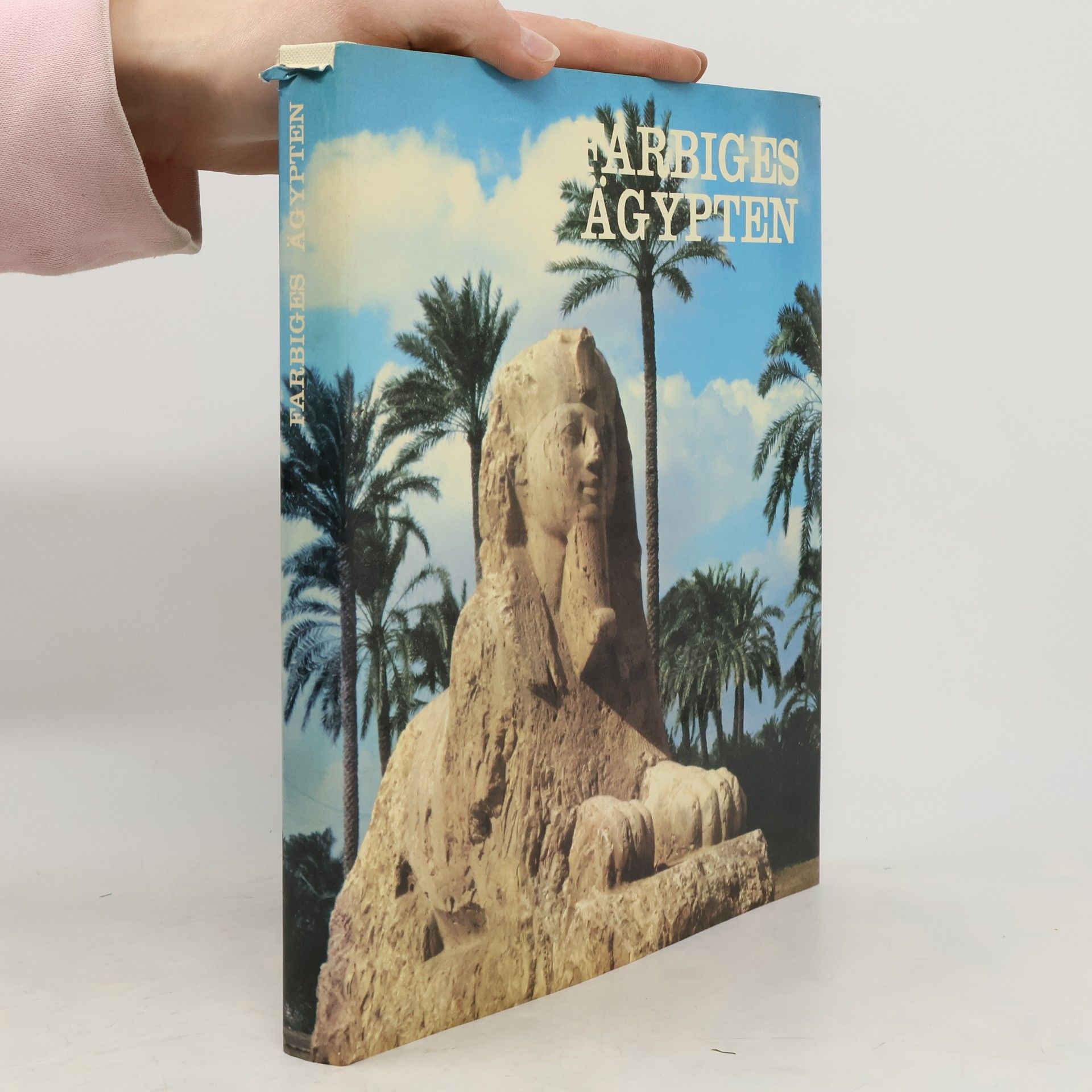 Collectif d'auteurs Farbiges Ägypten