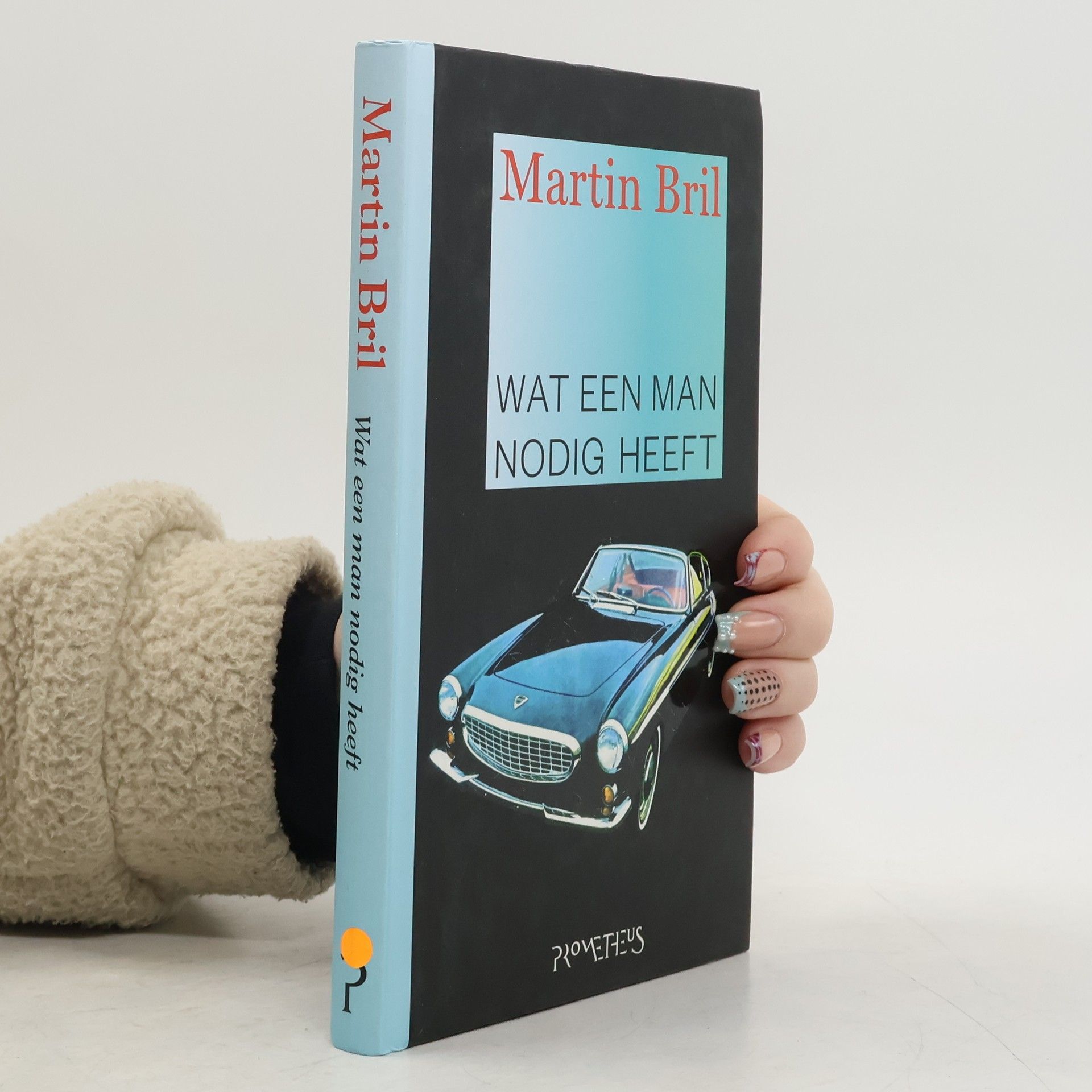 Martin Bril Wat een man nodig heeft