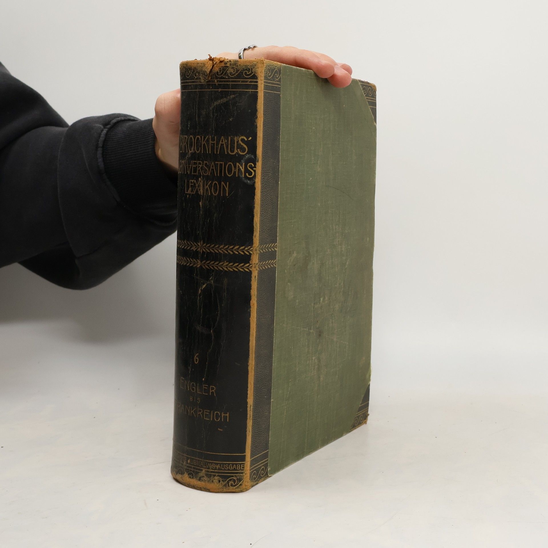 Autorenkollektiv Brockhaus' Konversations-Lexikon 6