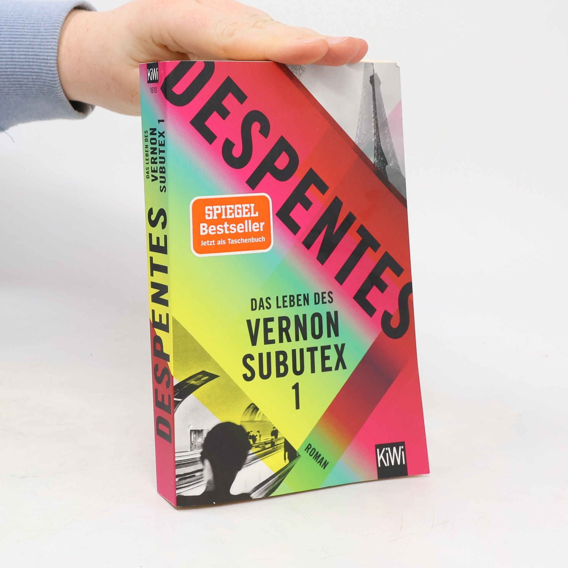 Das Leben des Vernon Subutex 1