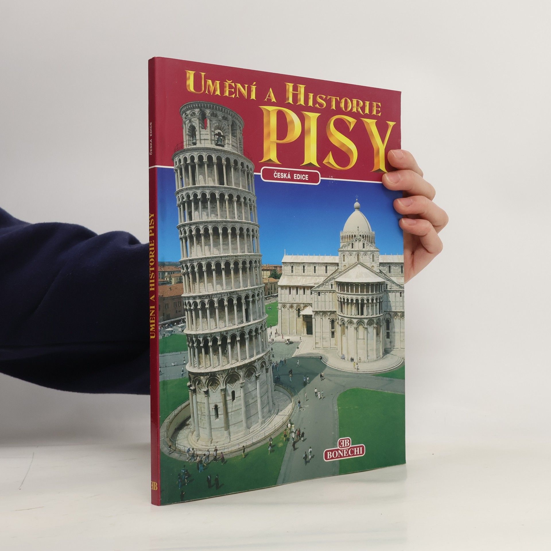 Giuliano Valdes Umění a historie Pisy