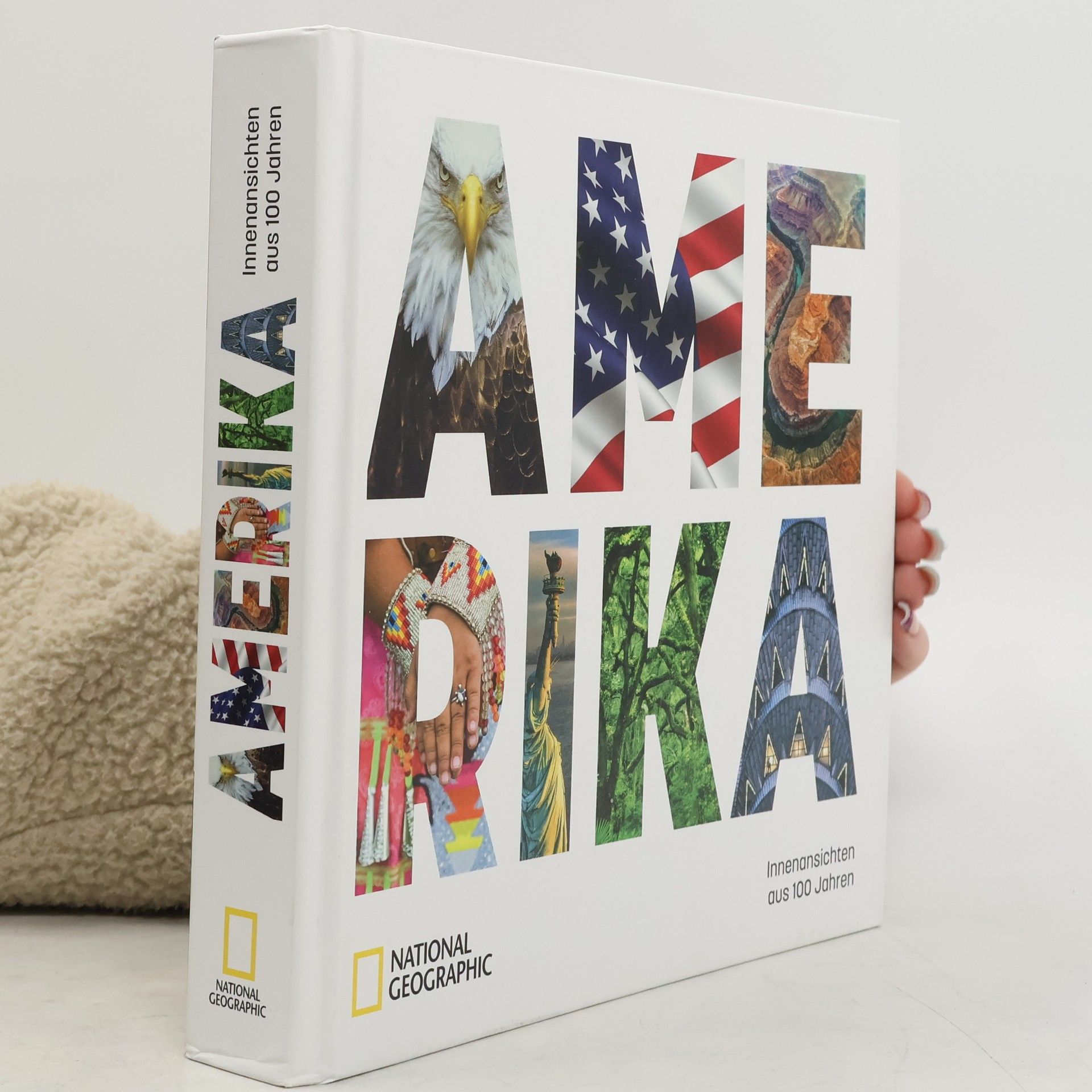 Susan Goldberg Amerika. Innenansichten aus 100 Jahren