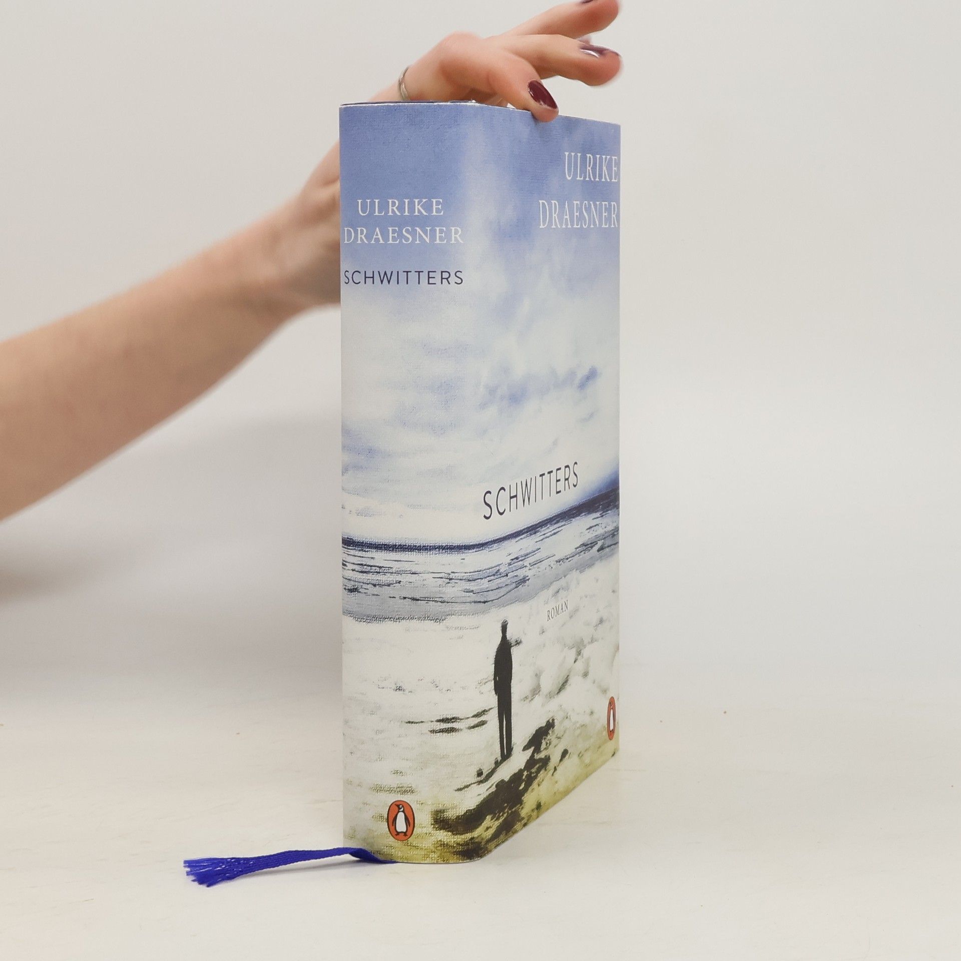 Ulrike Draesner Schwitters