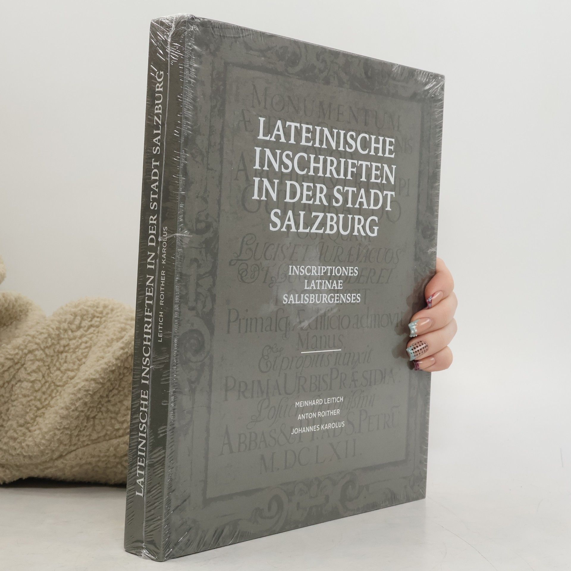 Lateinische Inschriften in der Stadt Salzburg