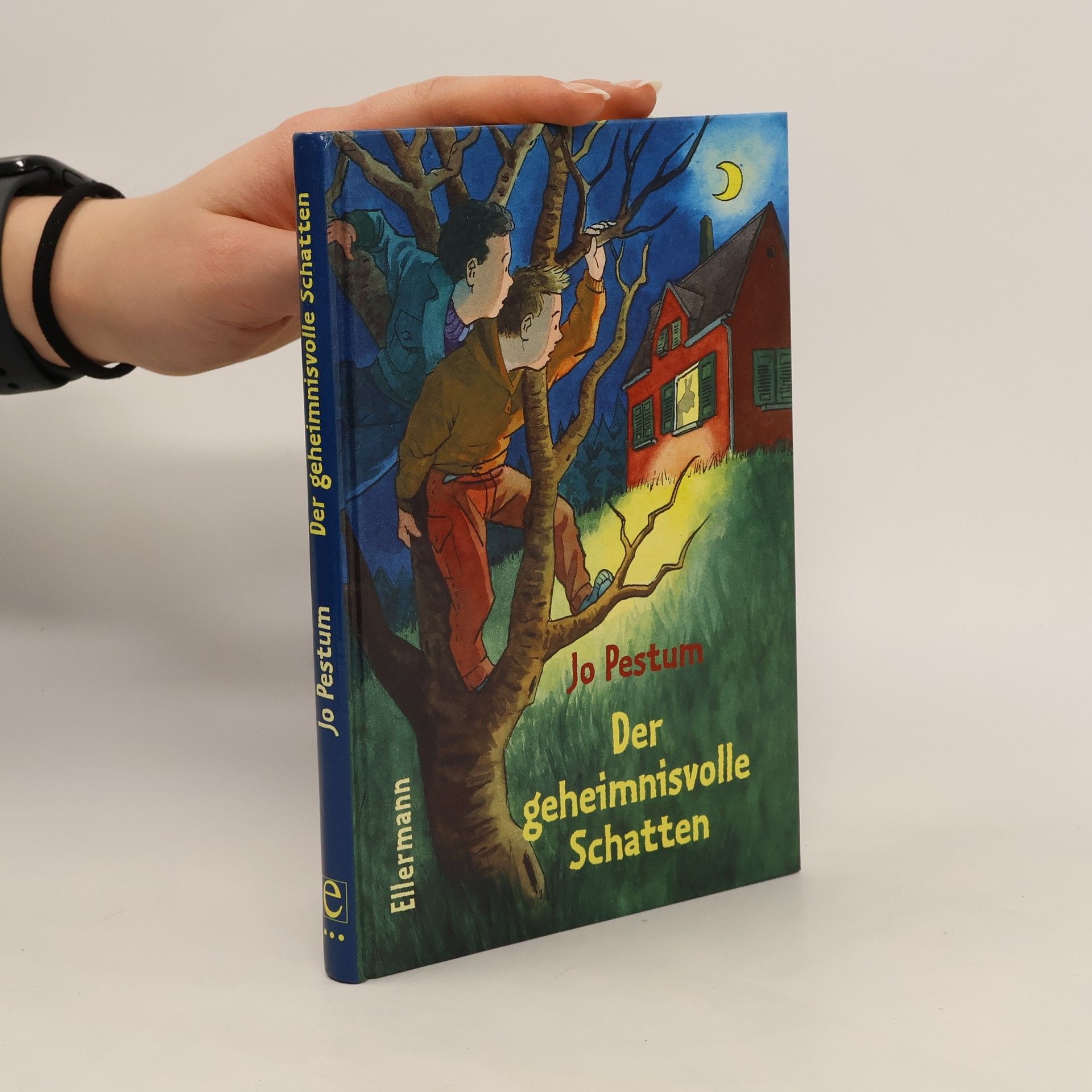 Jo Pestum Der geheimnisvolle Schatten