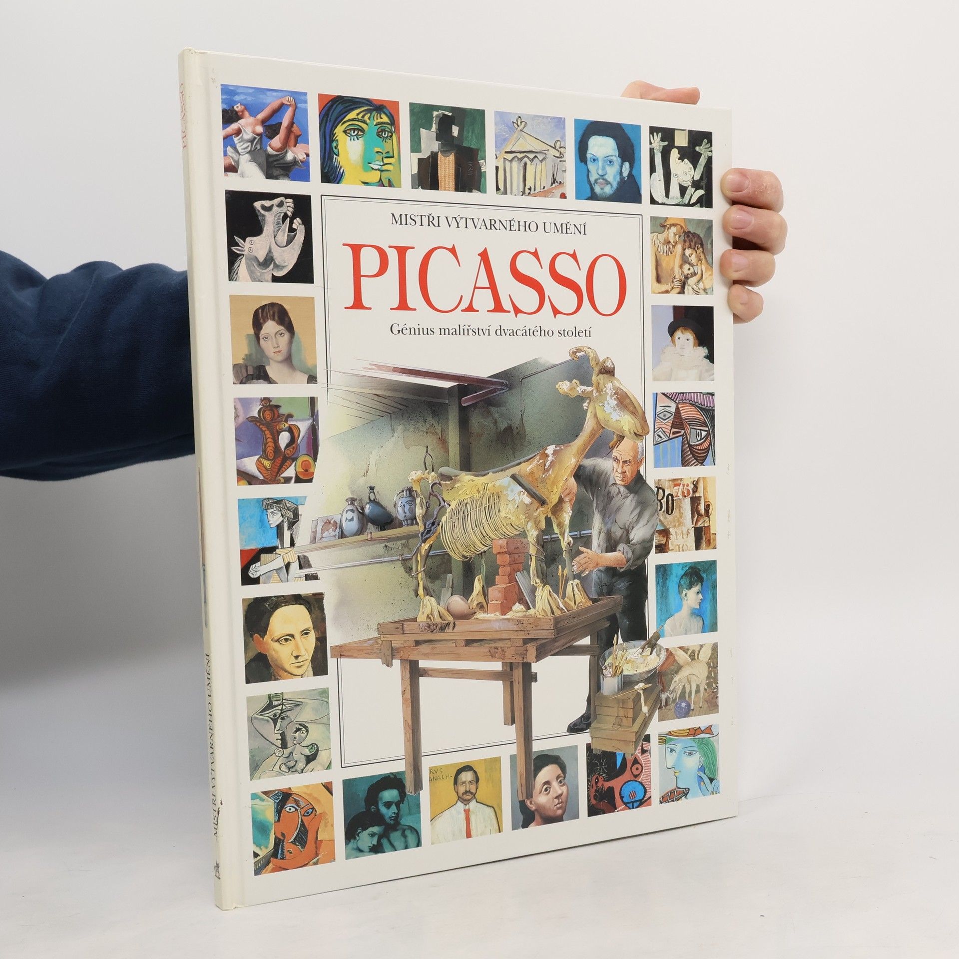 Collectif d'auteurs Mistři výtvarného umění: Picasso