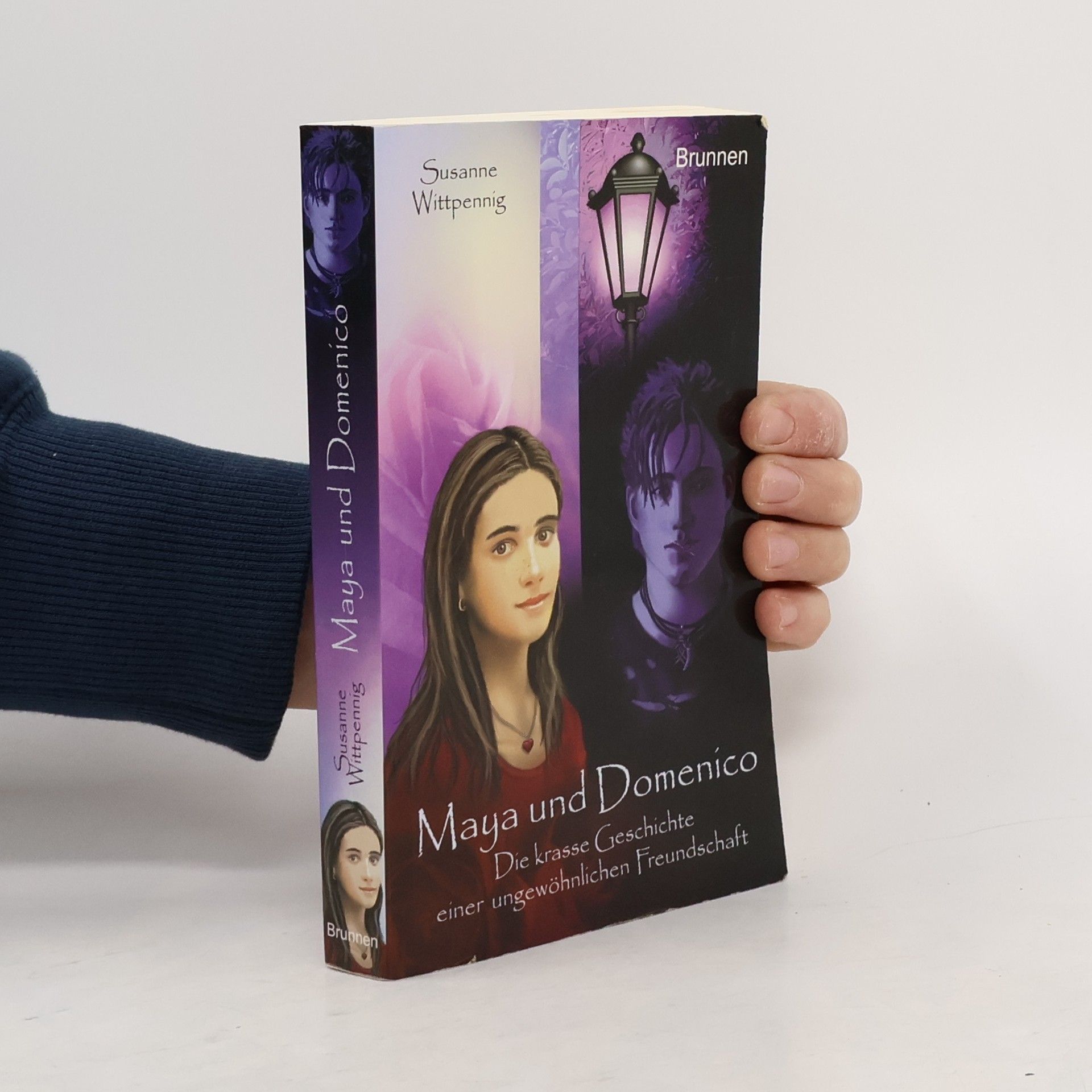 Susane Wittpenning Maya und Domenico: Die krasse Geschihte einer ungewöhnlichen Freundschaft