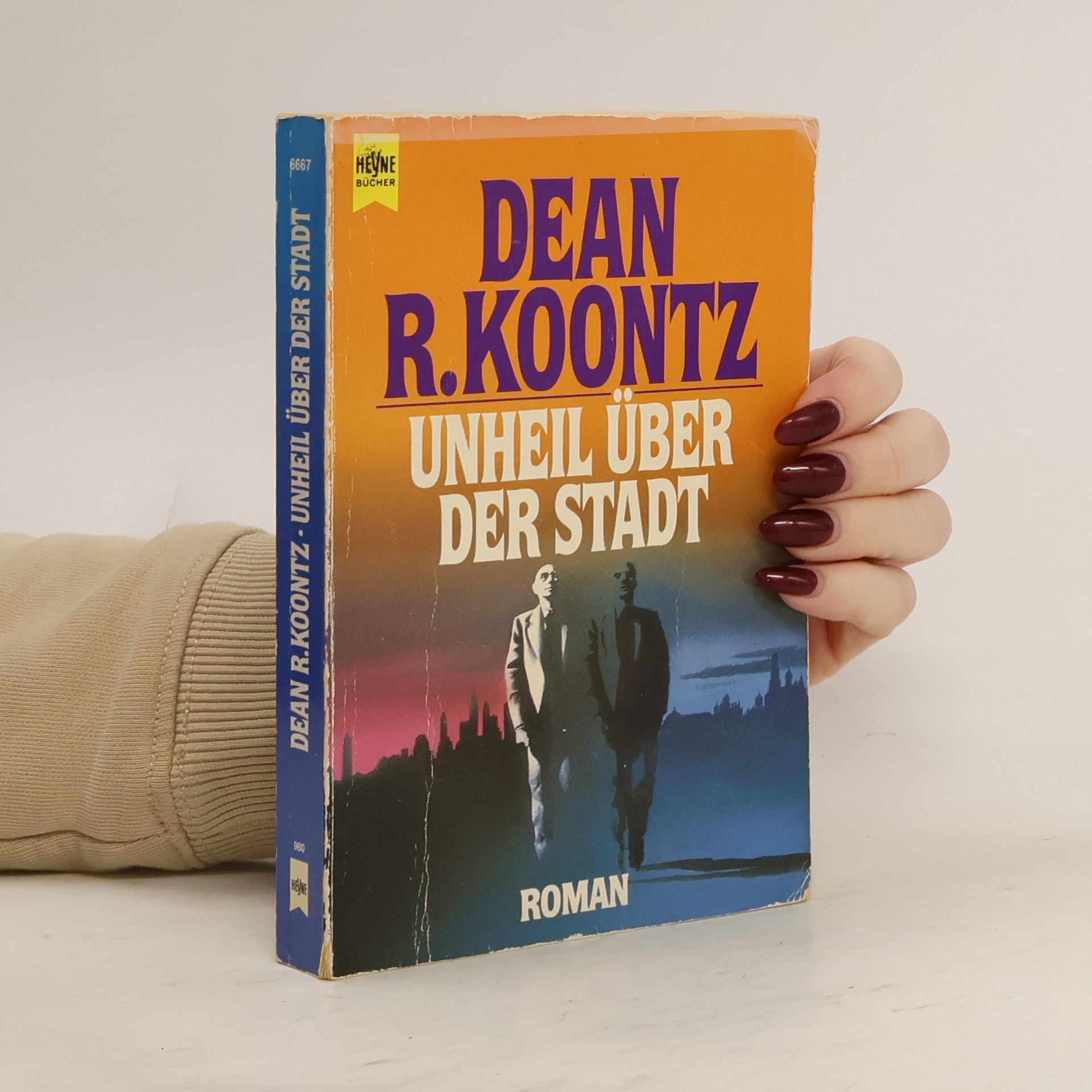 Dean R. Koontz Unheil über der Stadt