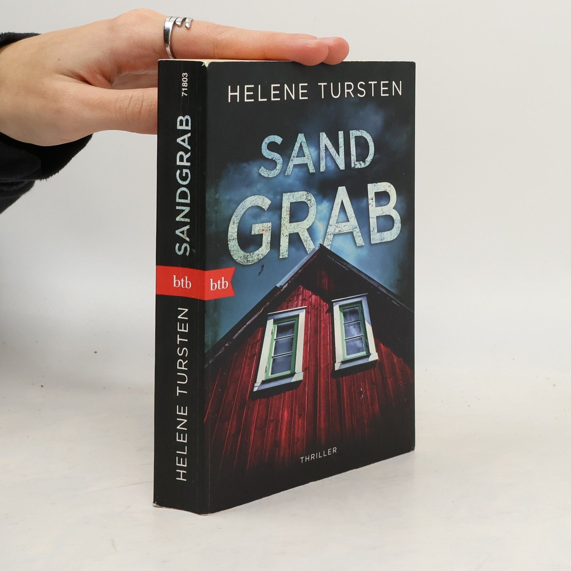 Helene Tursten Sandgrab