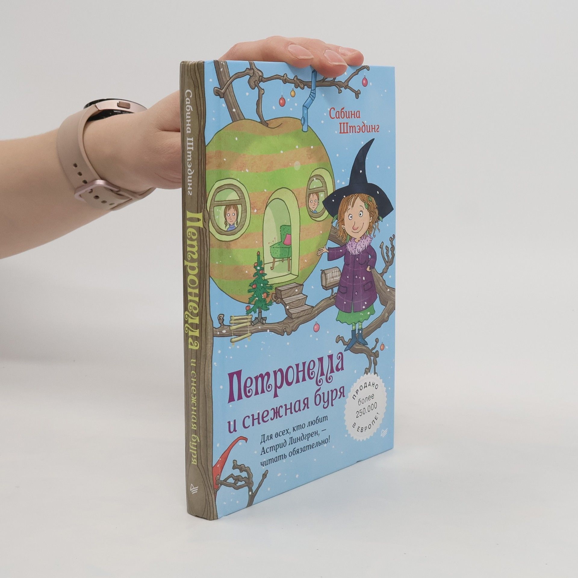 Sabine Ständig Petronella i snežnaja burja