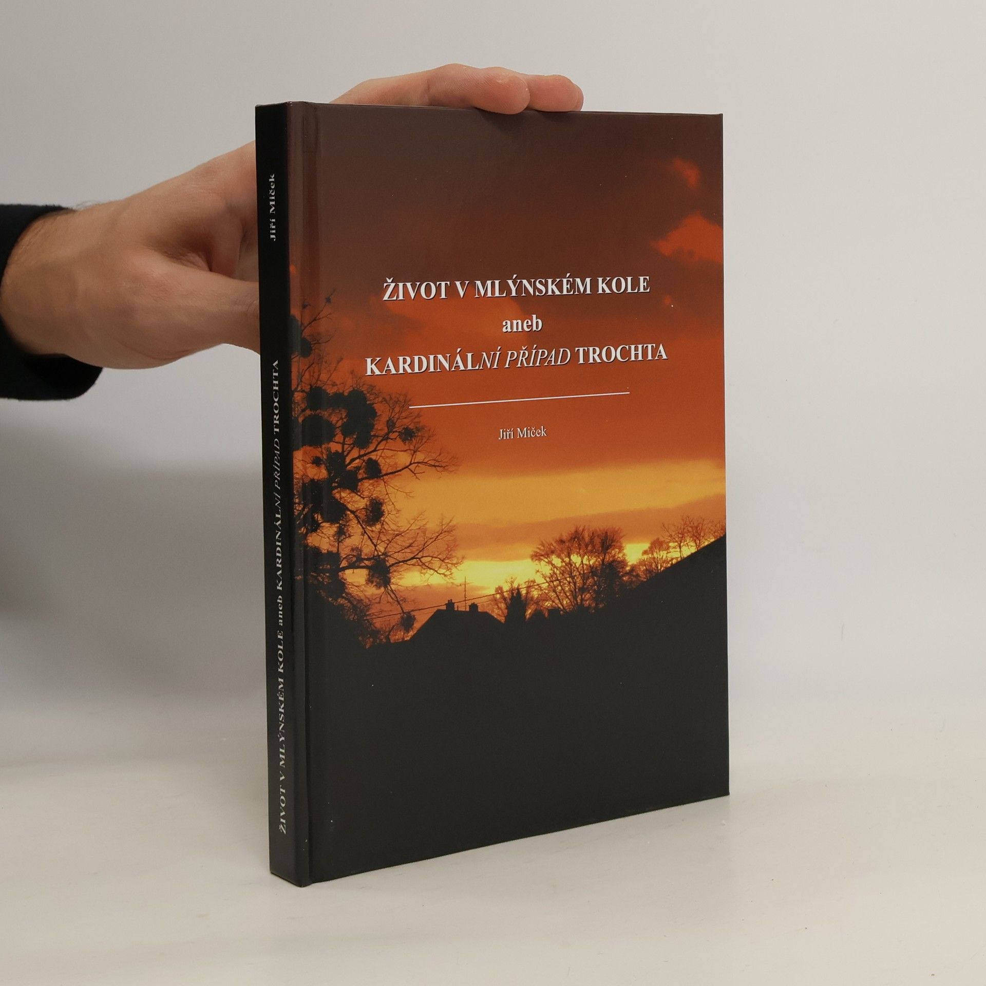 Jiří Miček Život v mlýnském kole