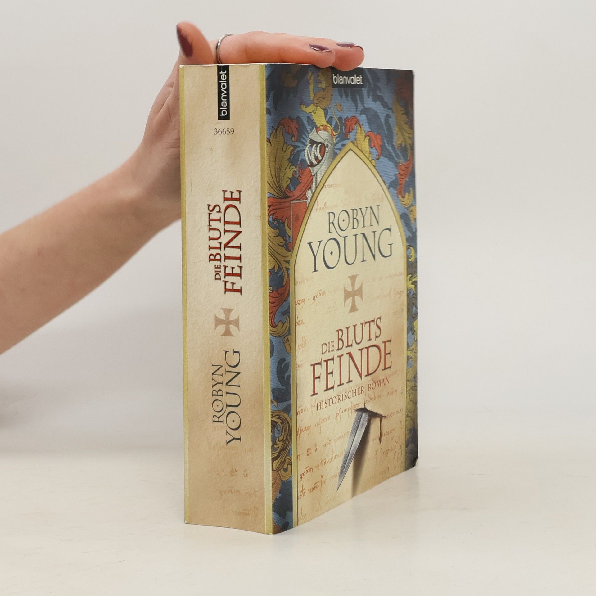 Robyn Young Die Blutsfeinde