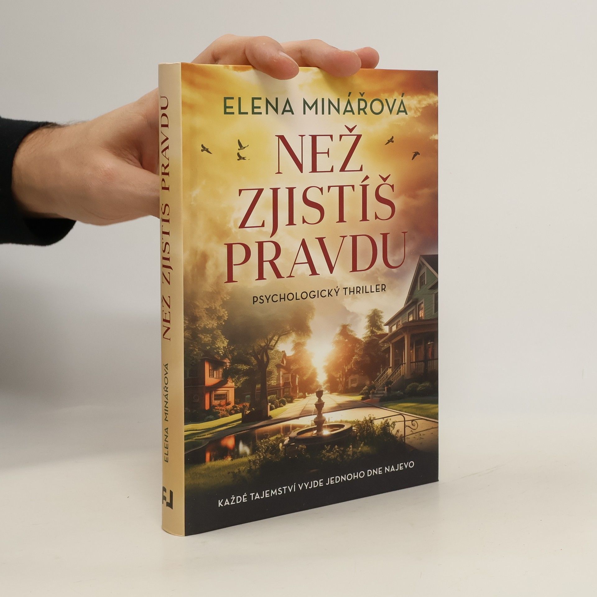 Elena Minářová Než zjistíš pravdu