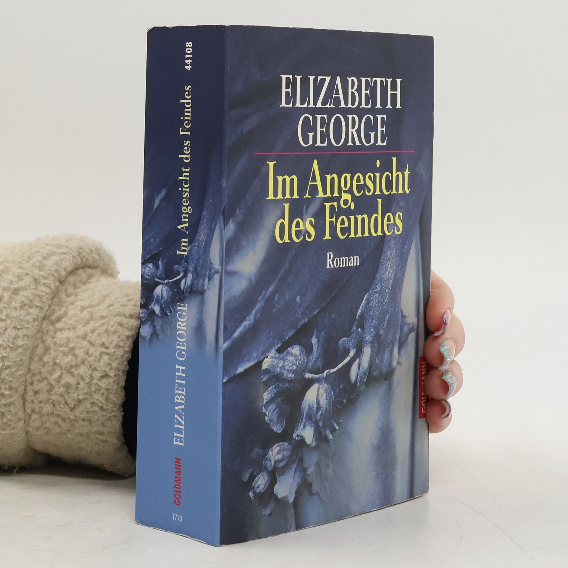 Im Angesicht des Feindes