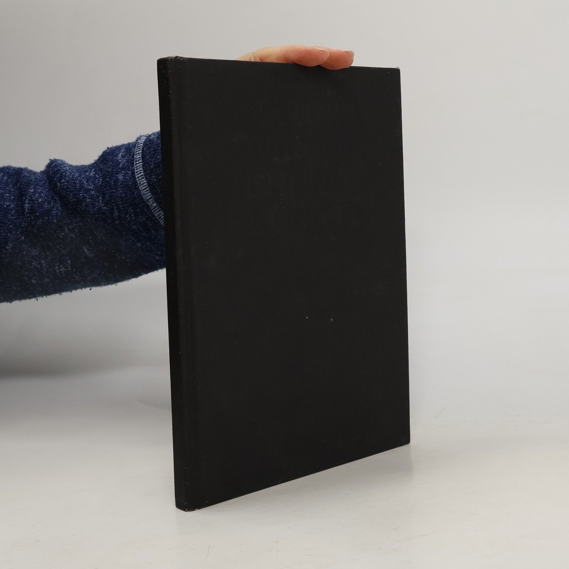 Svetozár Prochotský Natural Wing Chun Kung Fu