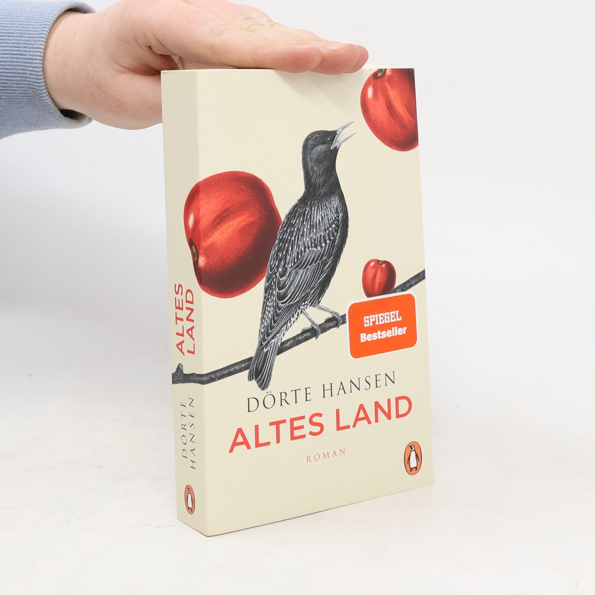 Dörte Hansen Altes Land