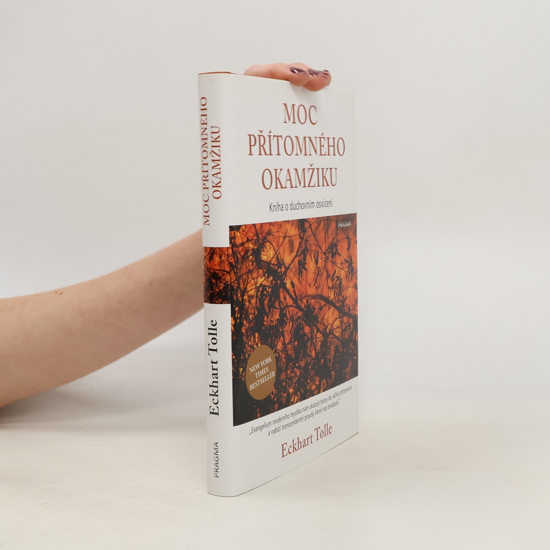 Eckhart Tolle Moc přítomného okamžiku