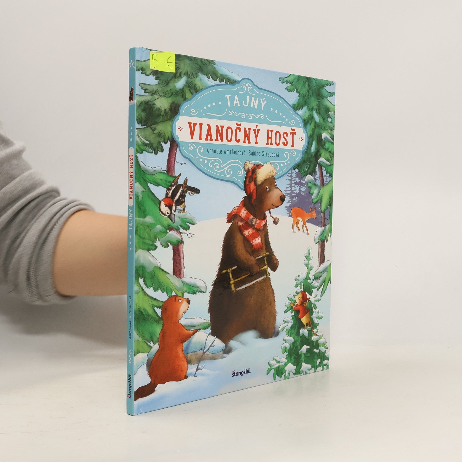 Annette Amrhein Tajný vianočný hosť