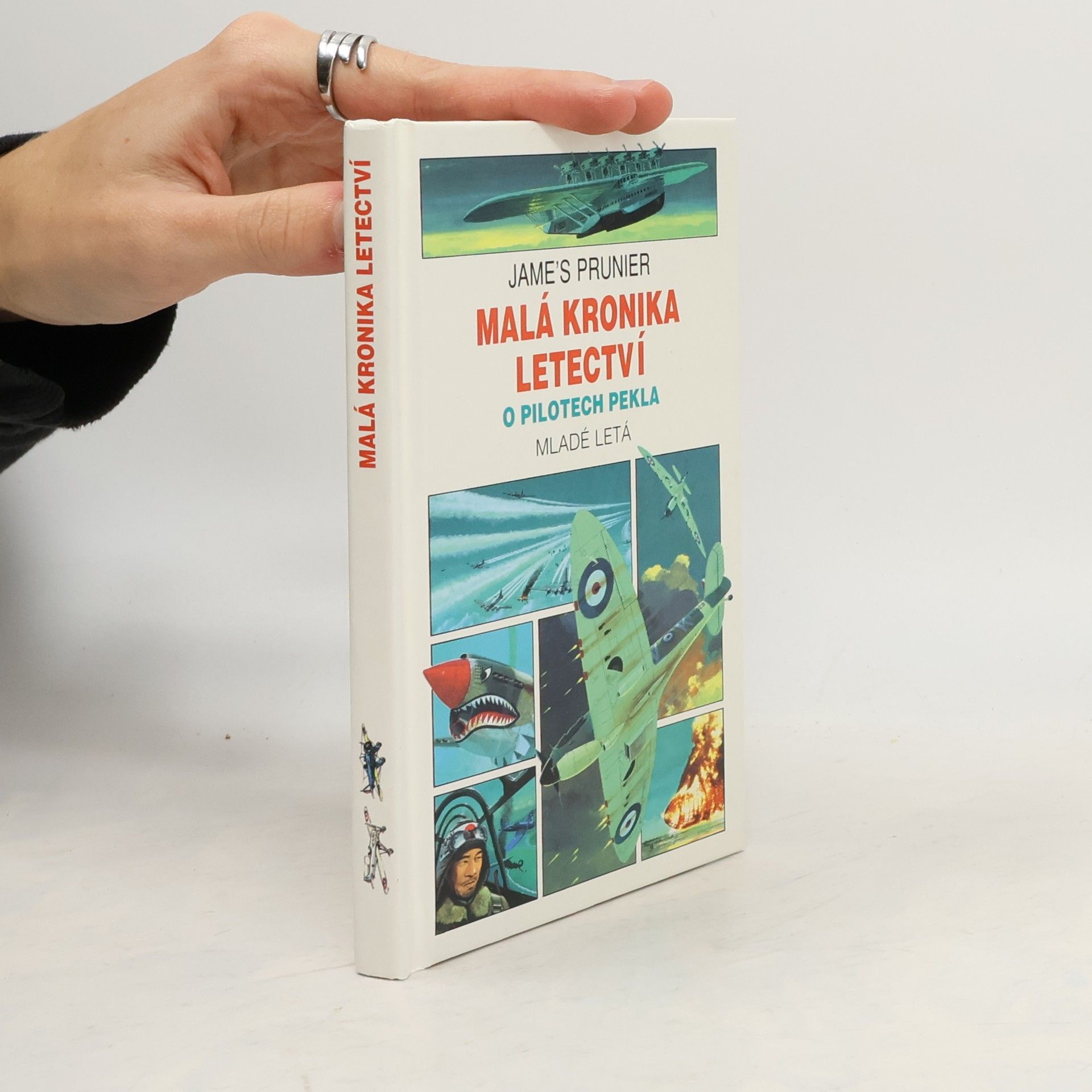 Jame Prunier Malá kronika letectví. O pilotech pekla