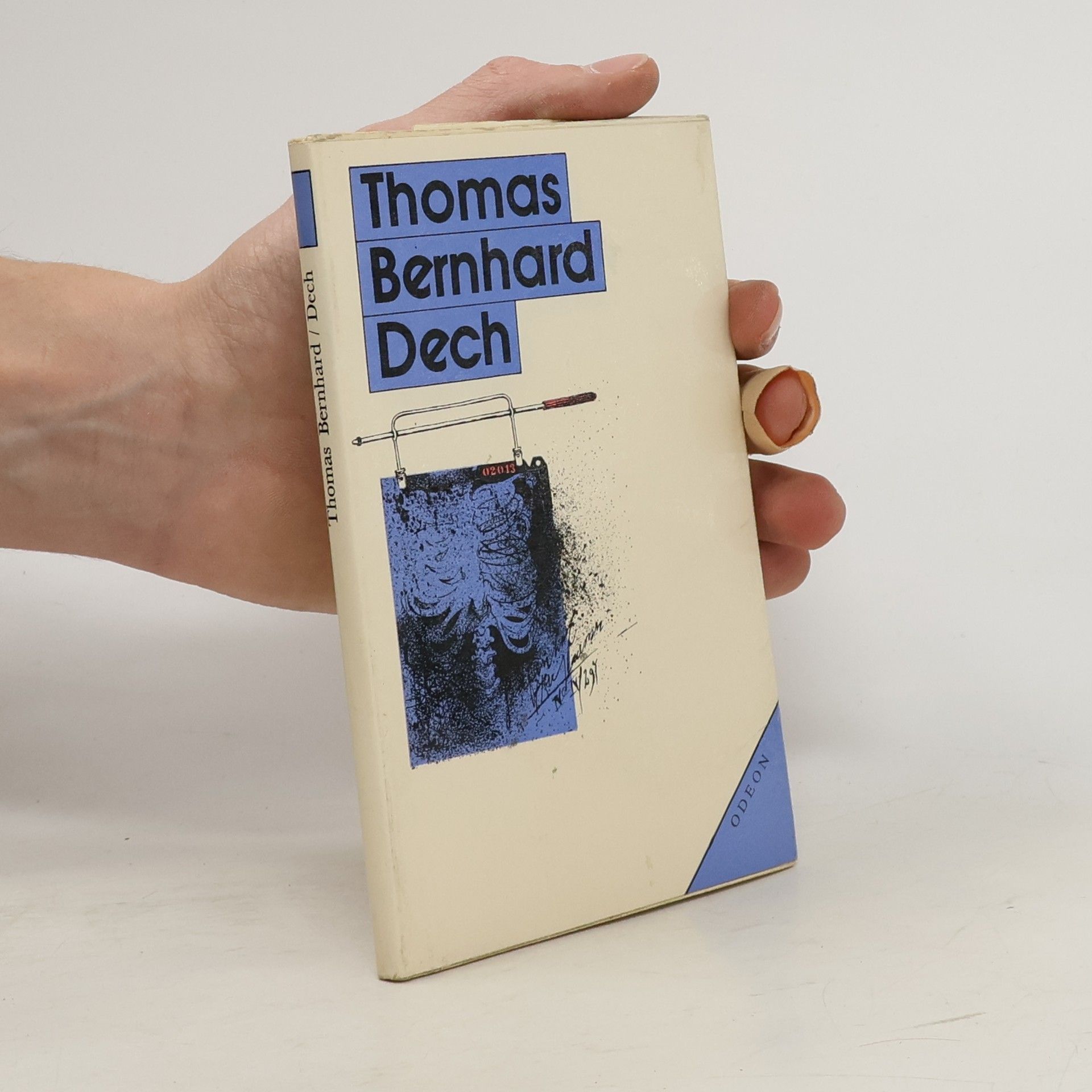 Thomas Bernhard Dech. Jedno rozhodnutí