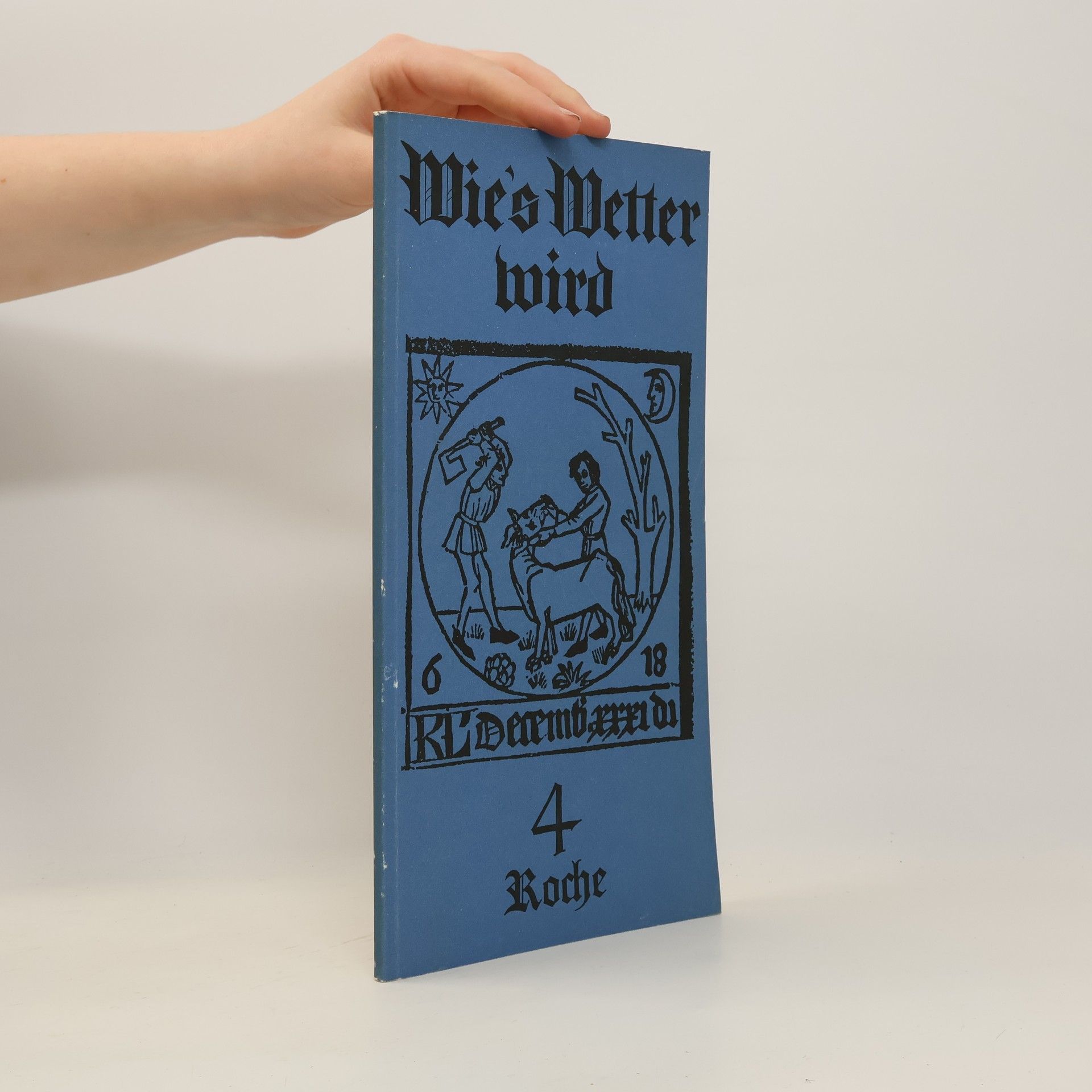 Kolektiv autorů Wie's Wetter wird 4