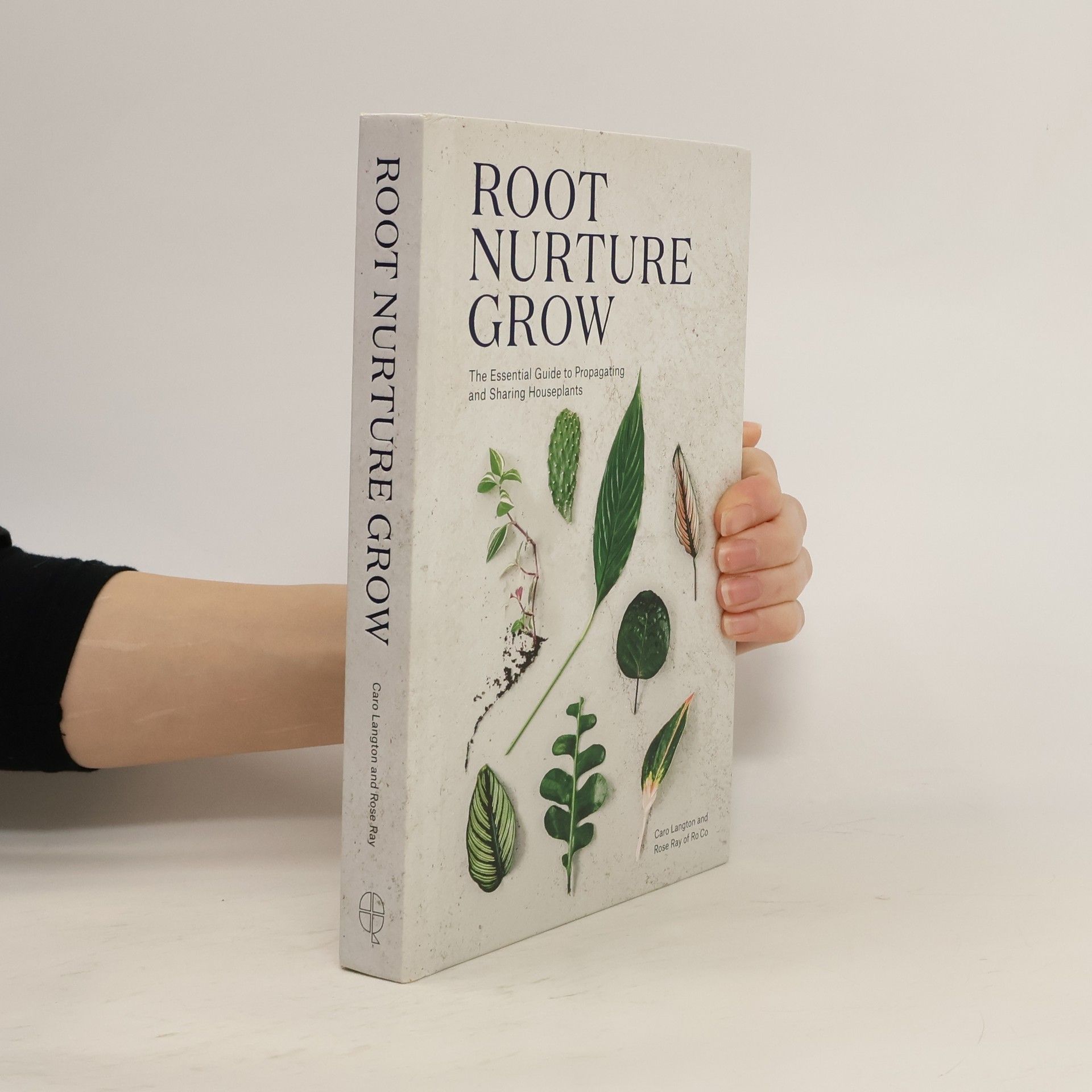 Rose Ray Root, Nurture, Grow