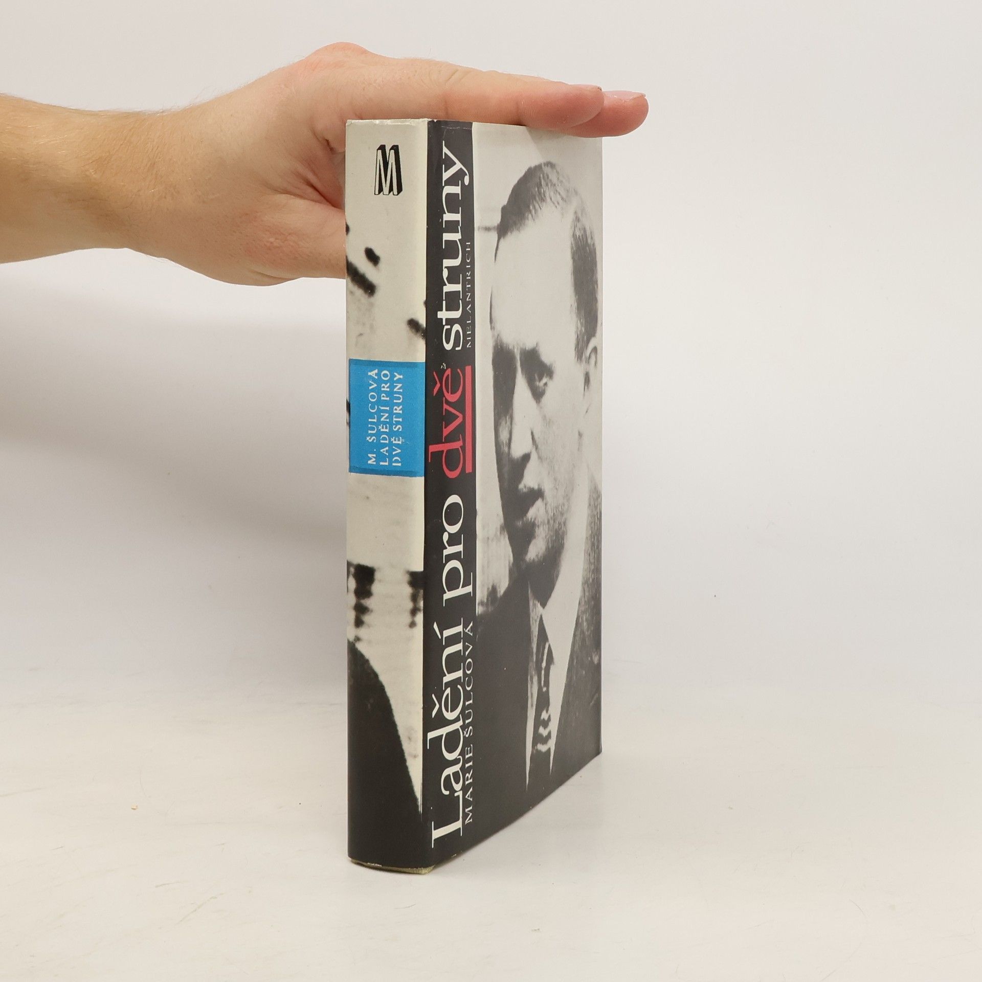 Marie Šulcová Ladění pro dvě struny