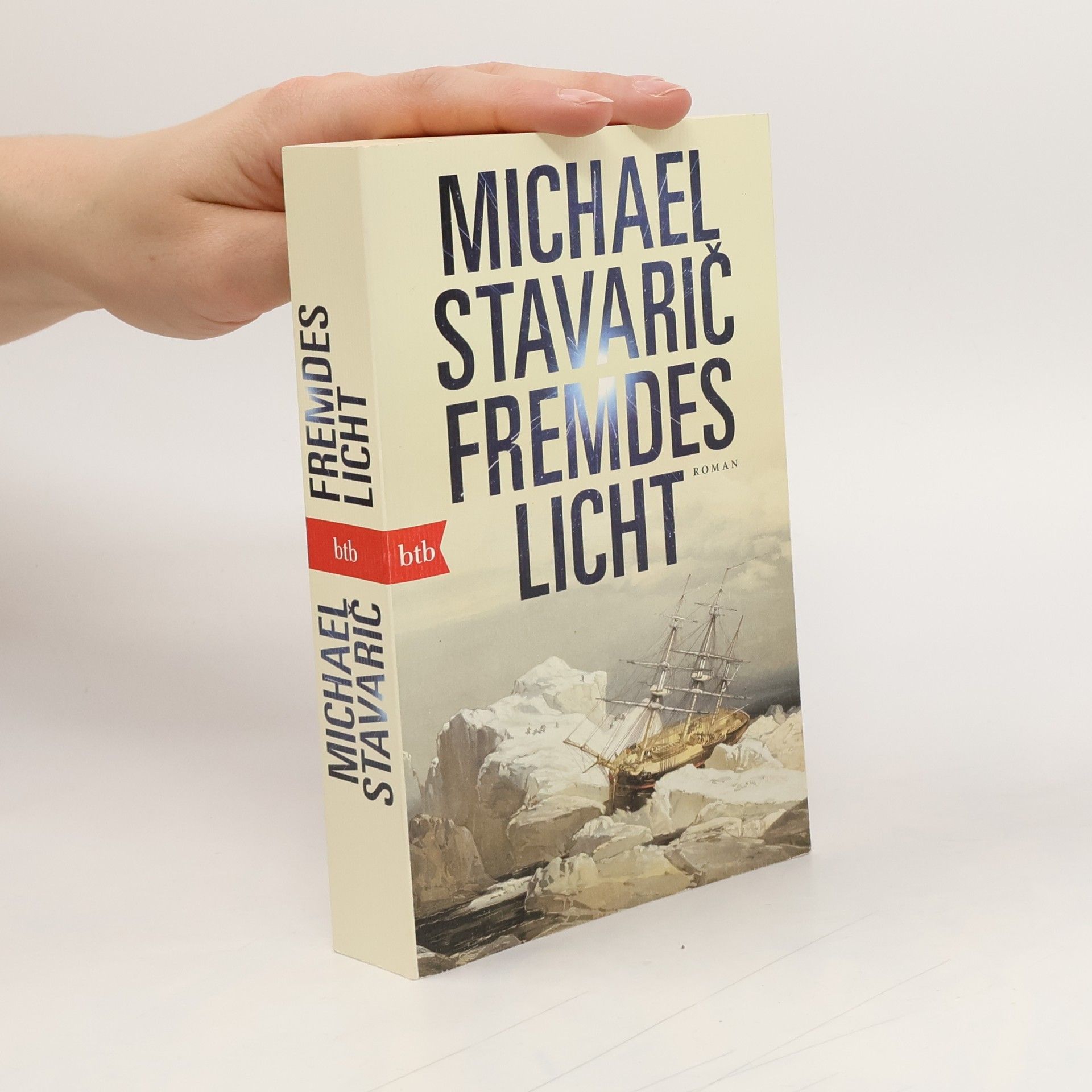 Michael Stavarič Fremdes Licht