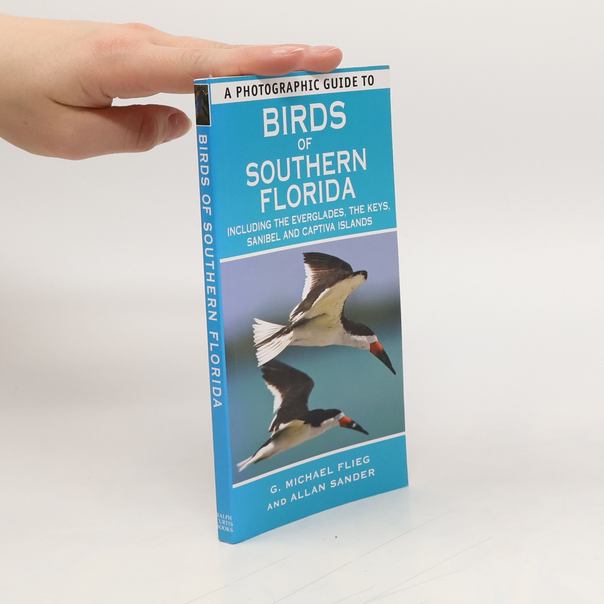 A Photographic Guide to Birds of Southern Florida