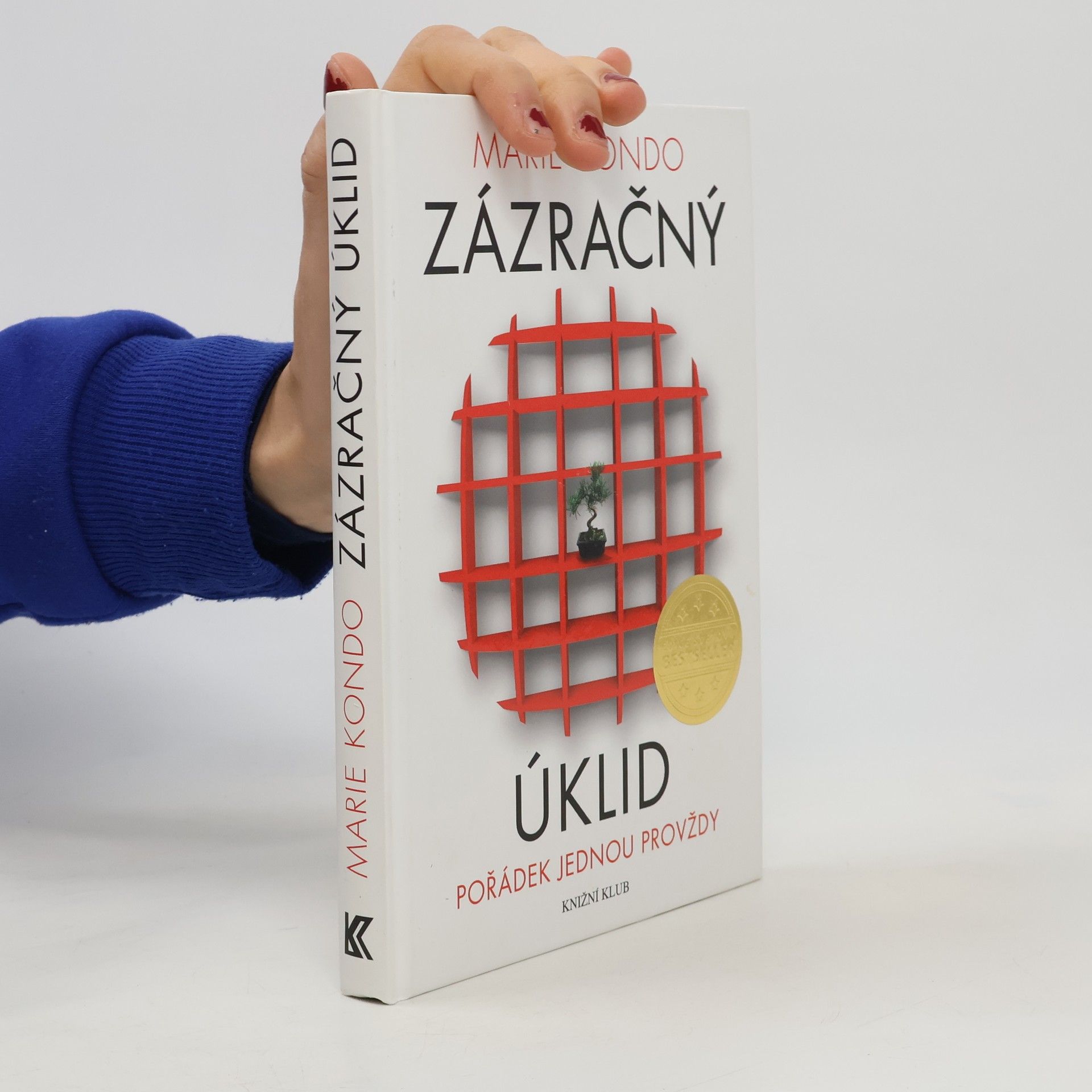 Marie Kondō Zázračný úklid